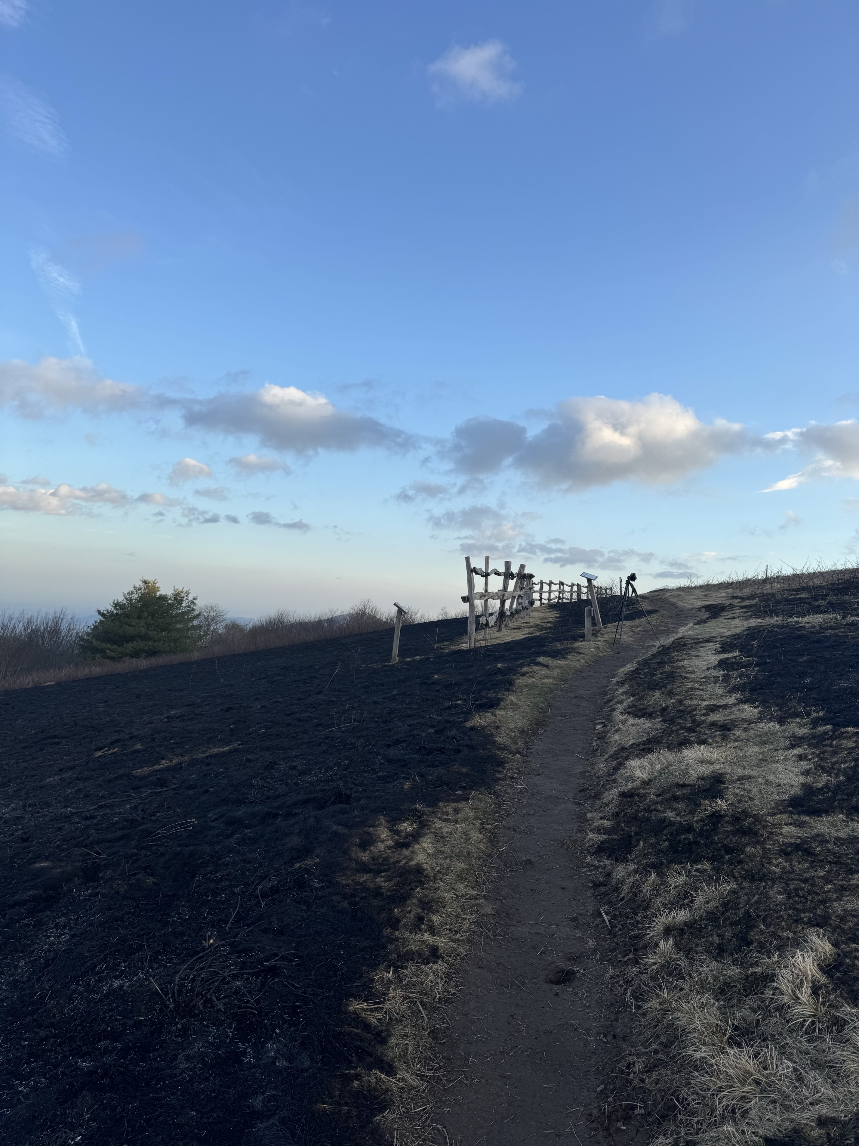 Max Patch Mountain
