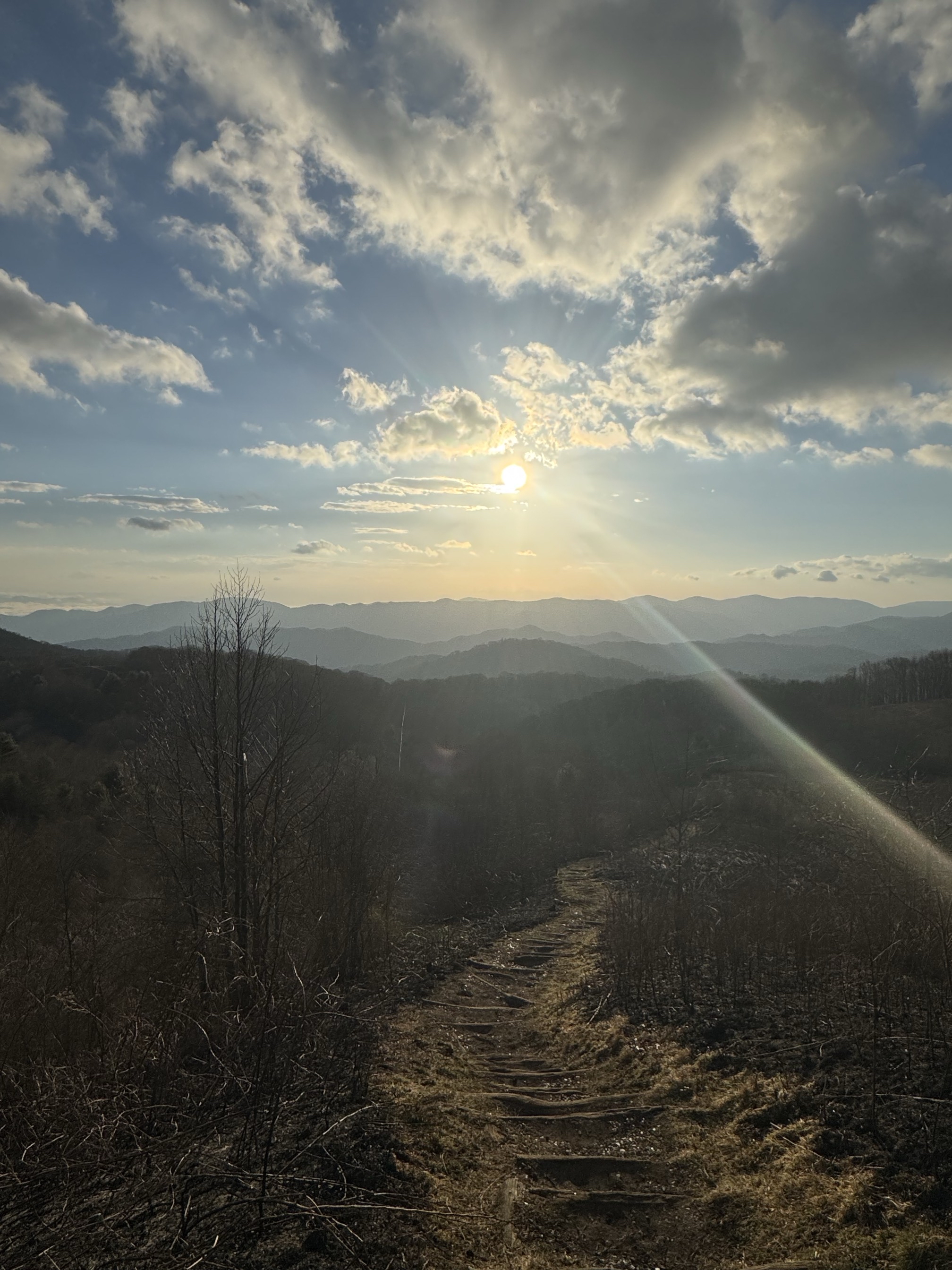 Max Patch Mountain
