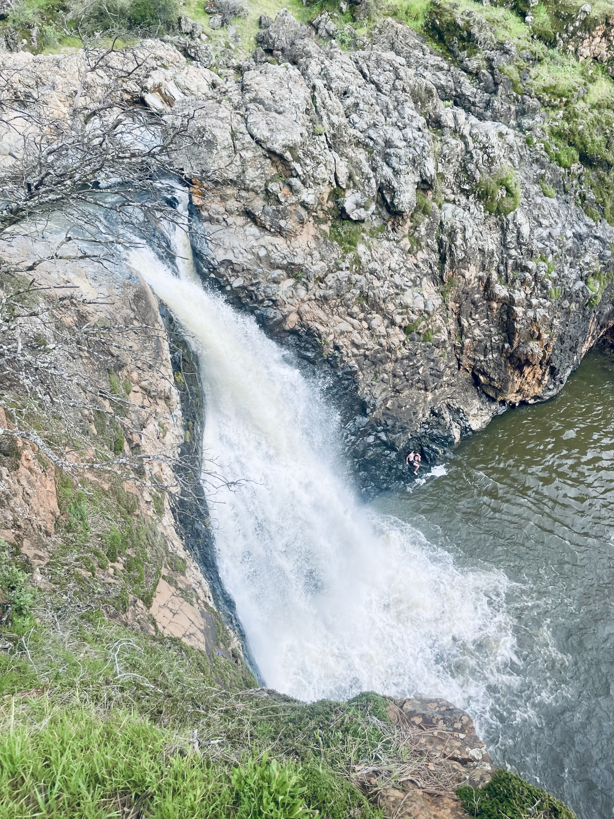 Fairy Falls Trail to Shingle/Beale Falls 