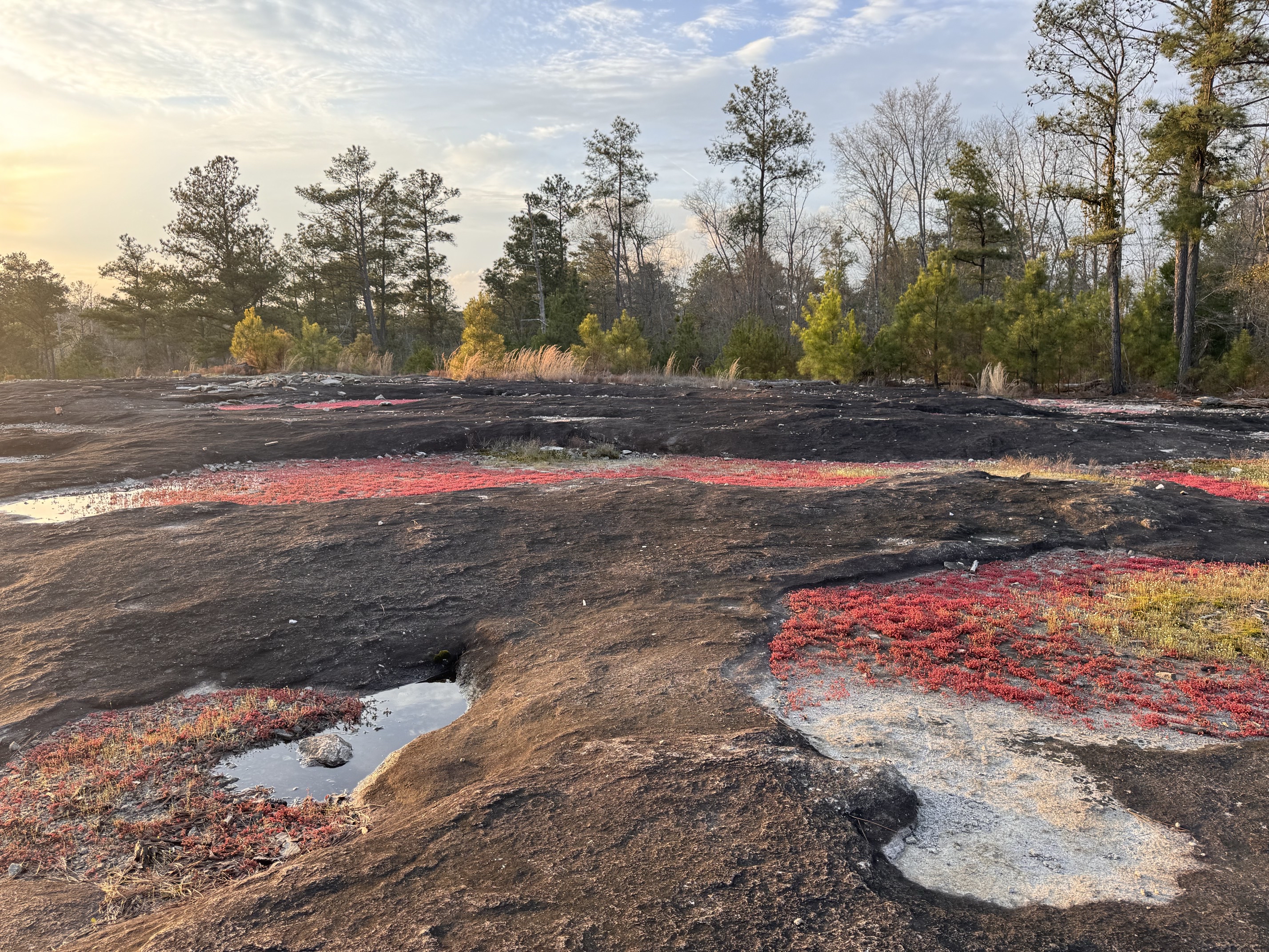 Arabia Mountain
