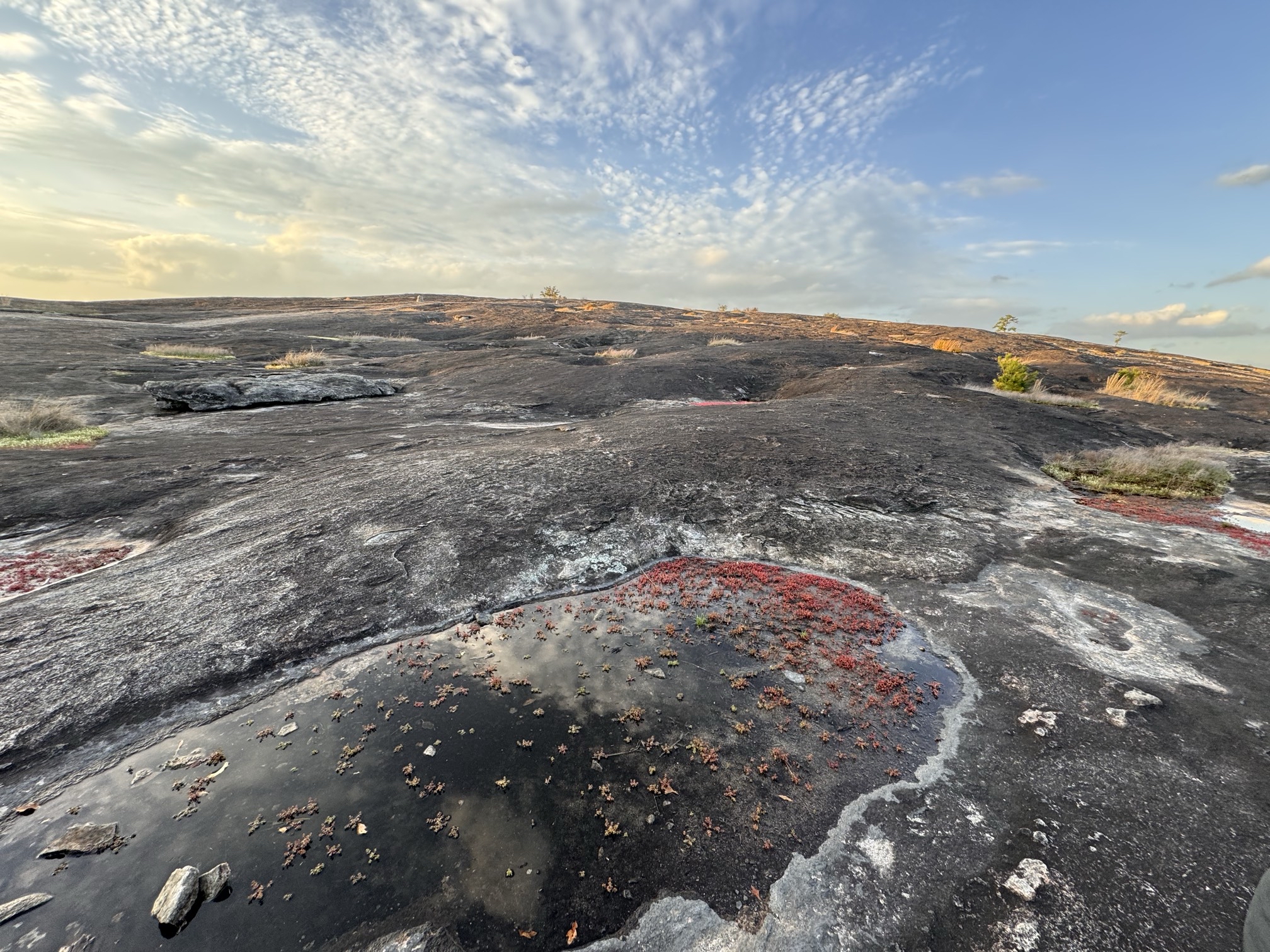 Arabia Mountain