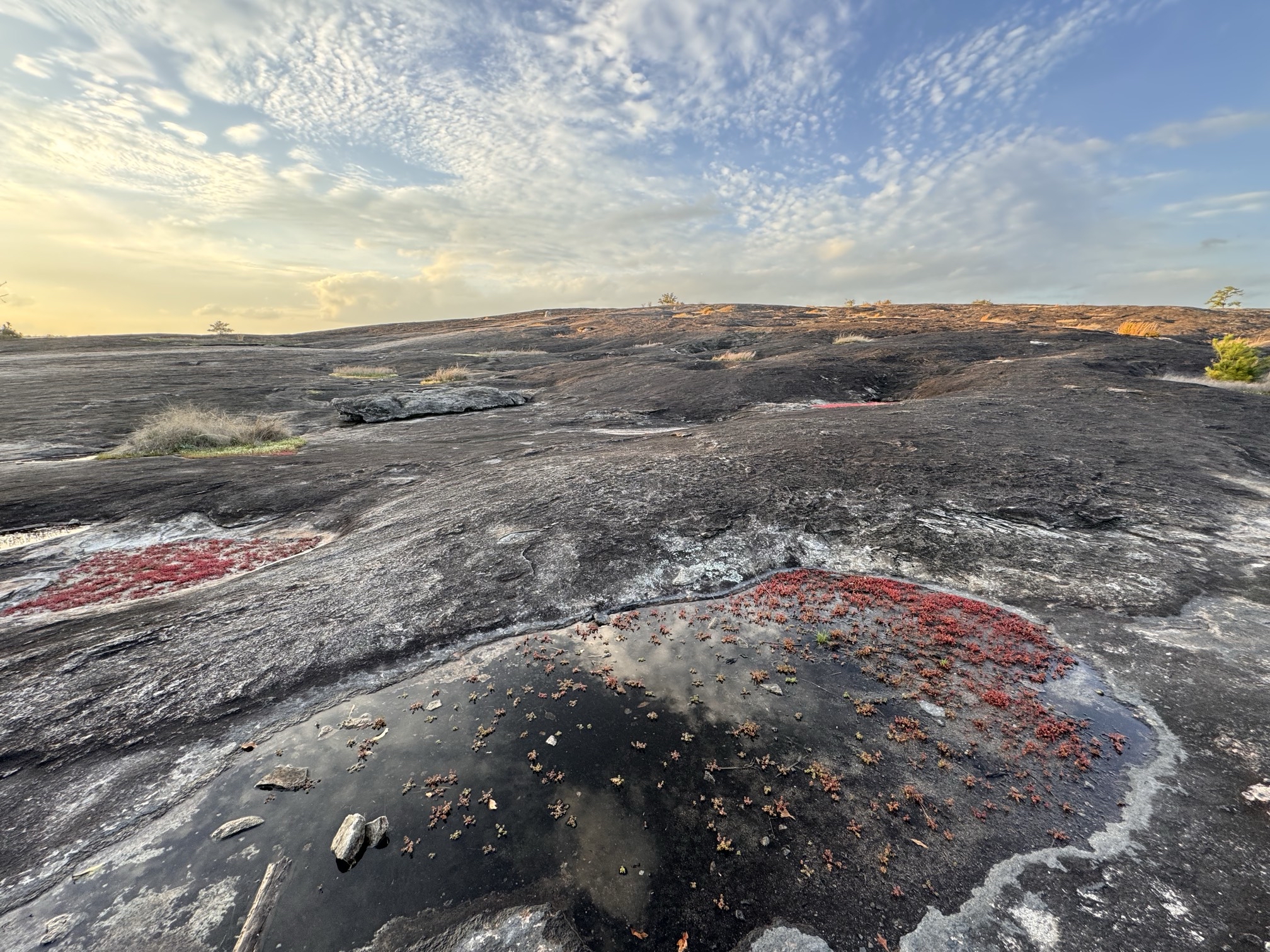 Arabia Mountain