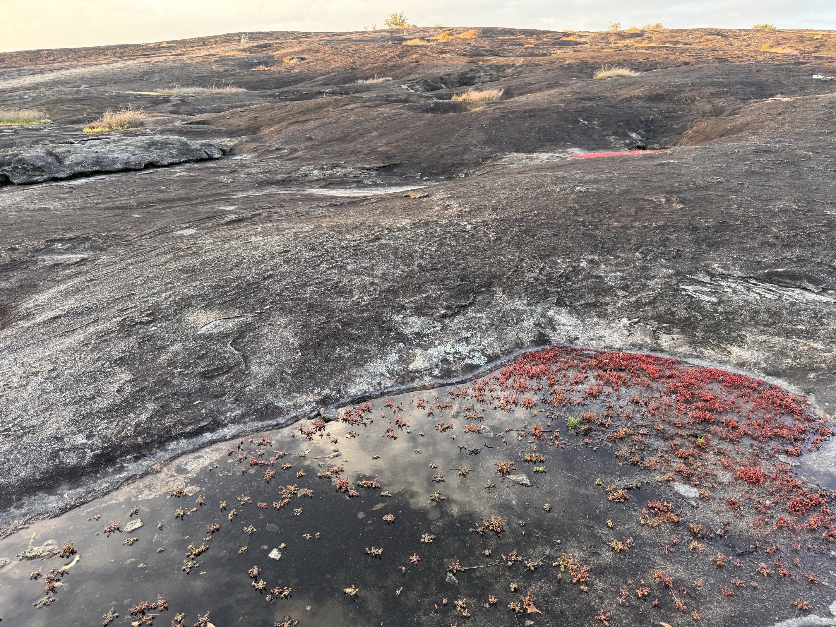 Arabia Mountain
