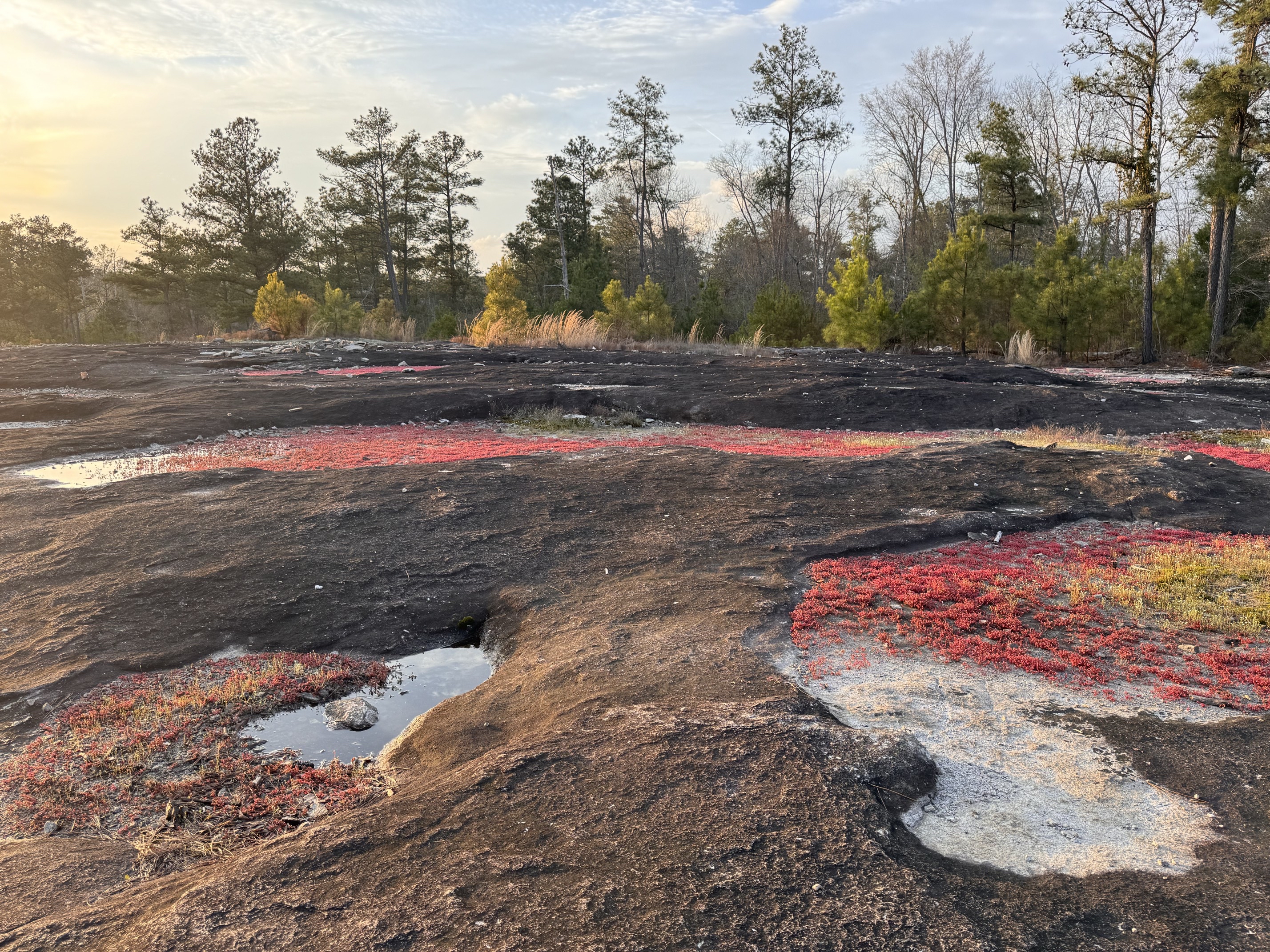 Arabia Mountain