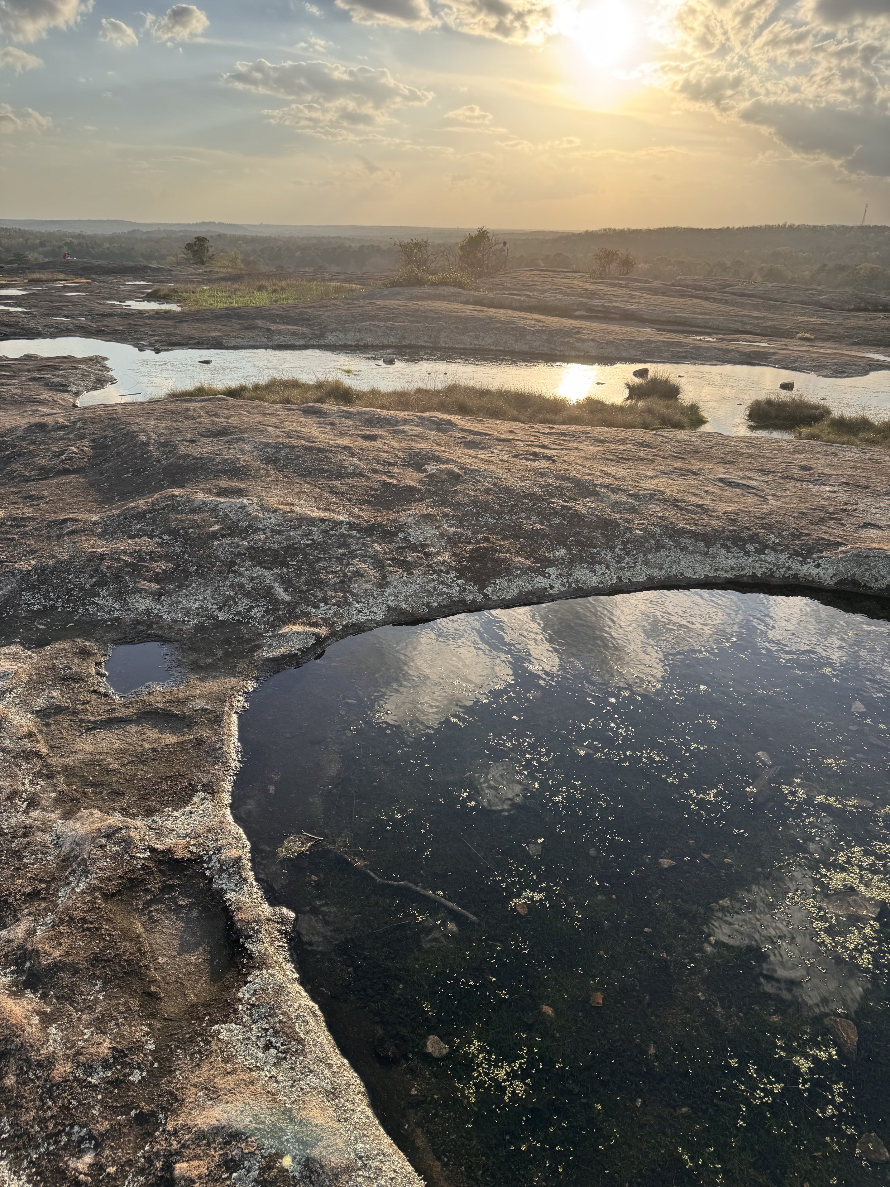 Arabia Mountain