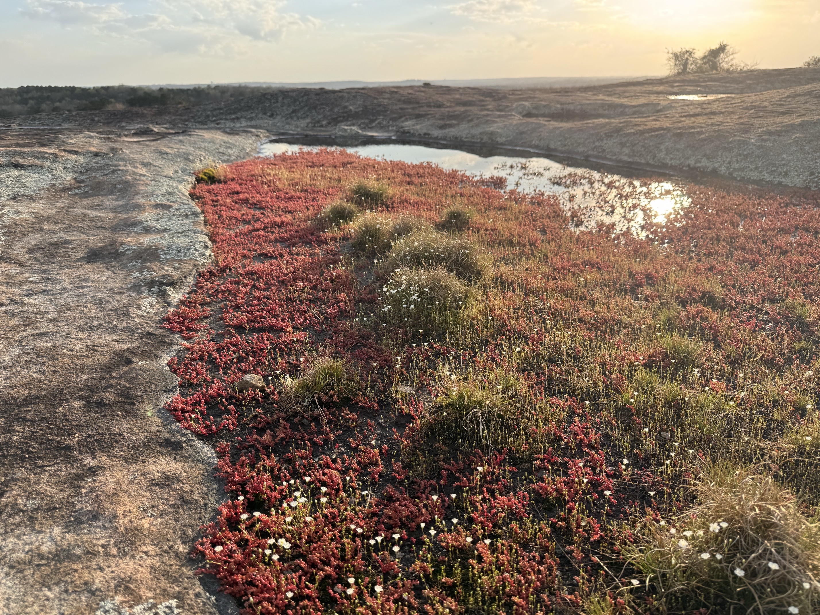 Arabia Mountain