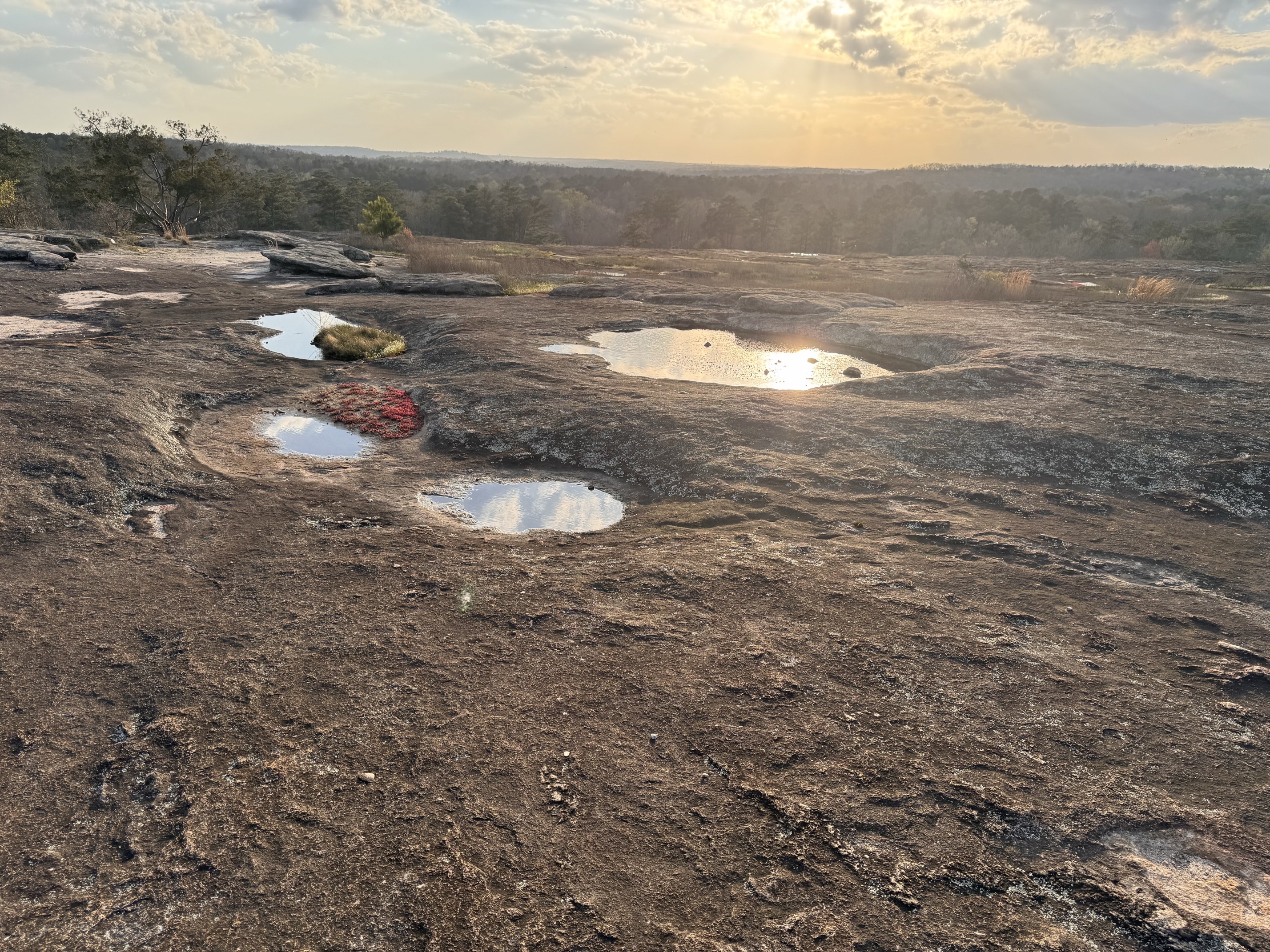 Arabia Mountain