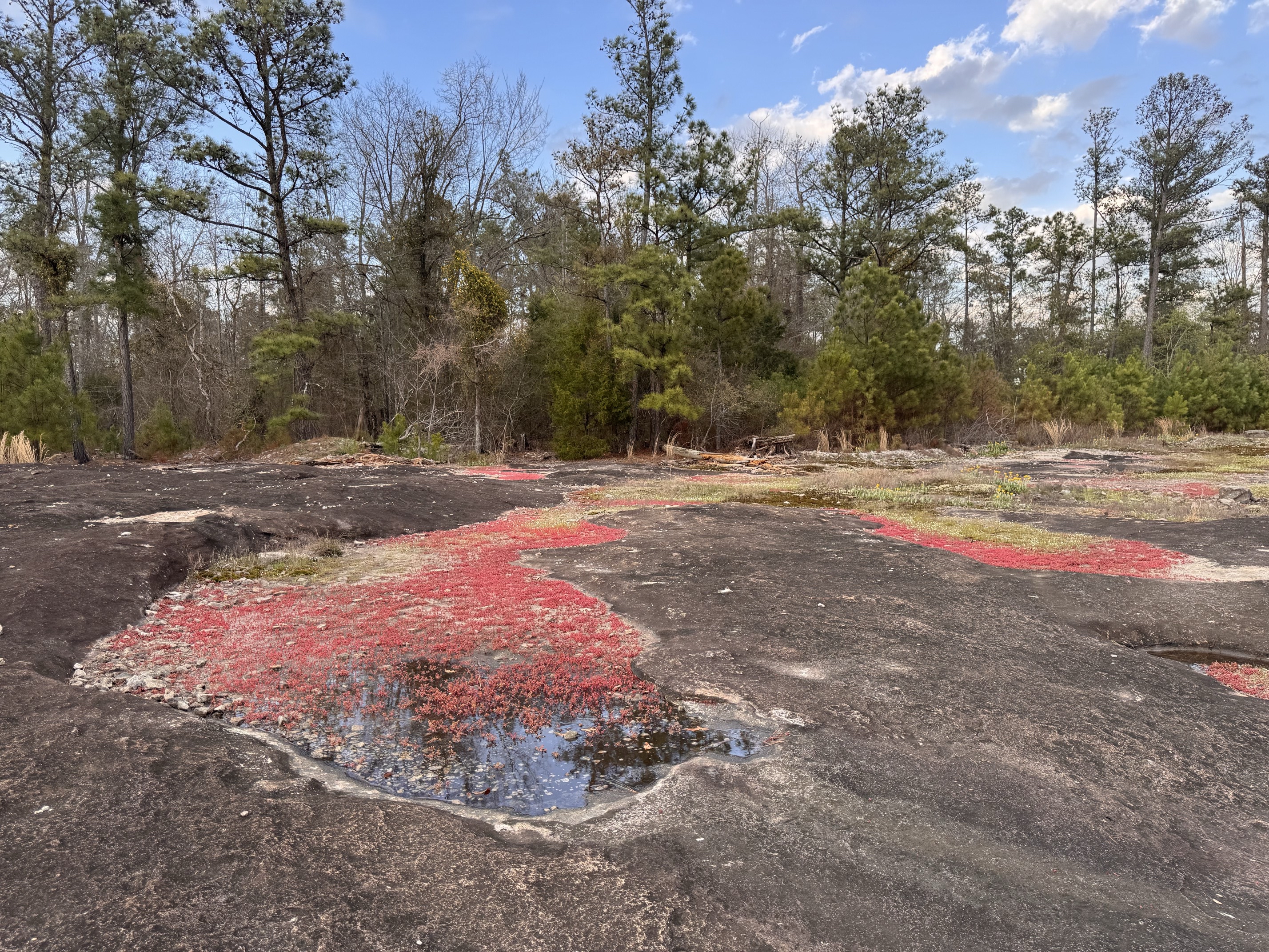 Arabia Mountain