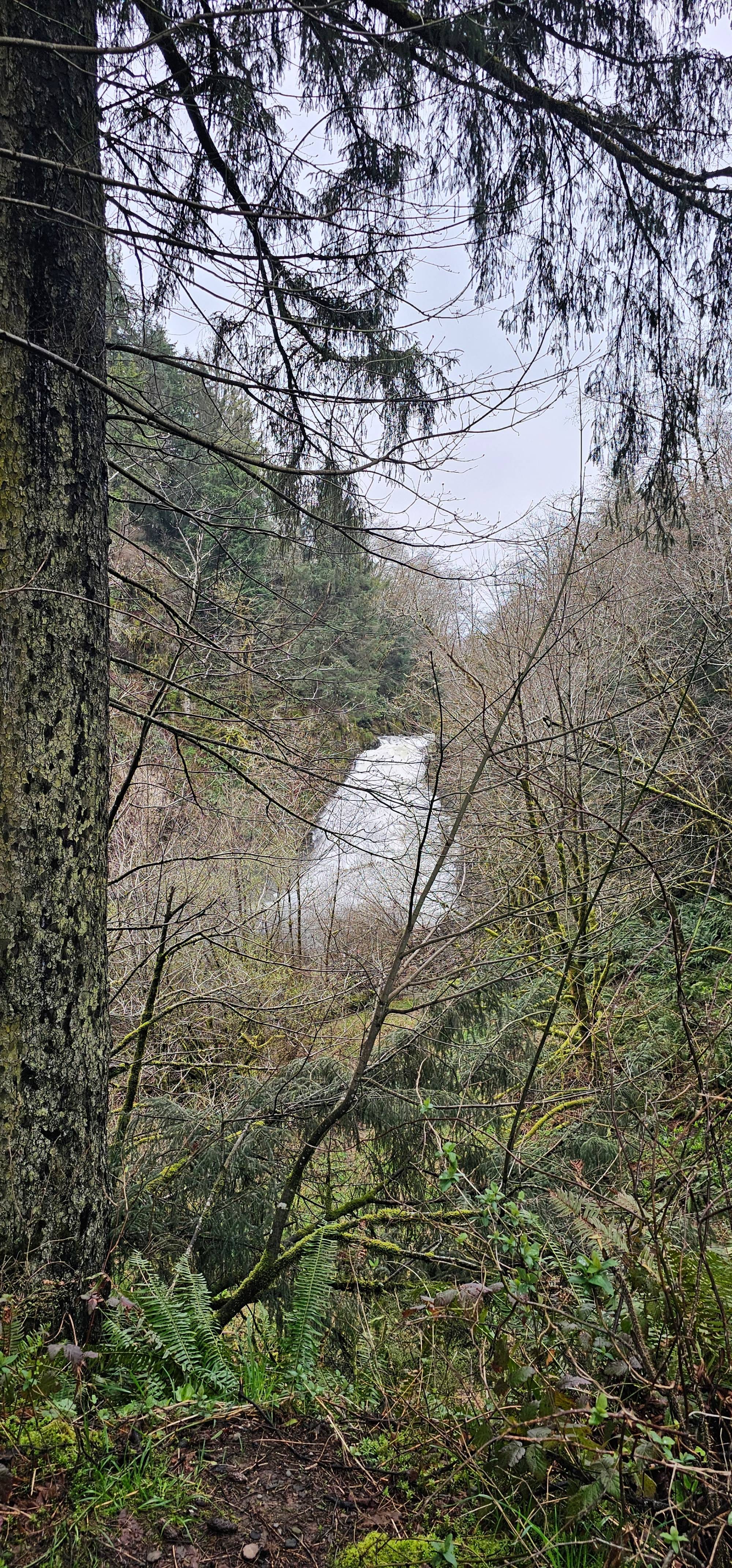 Youngs River Falls
