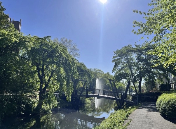 Lake Anne Blue Trail Loop