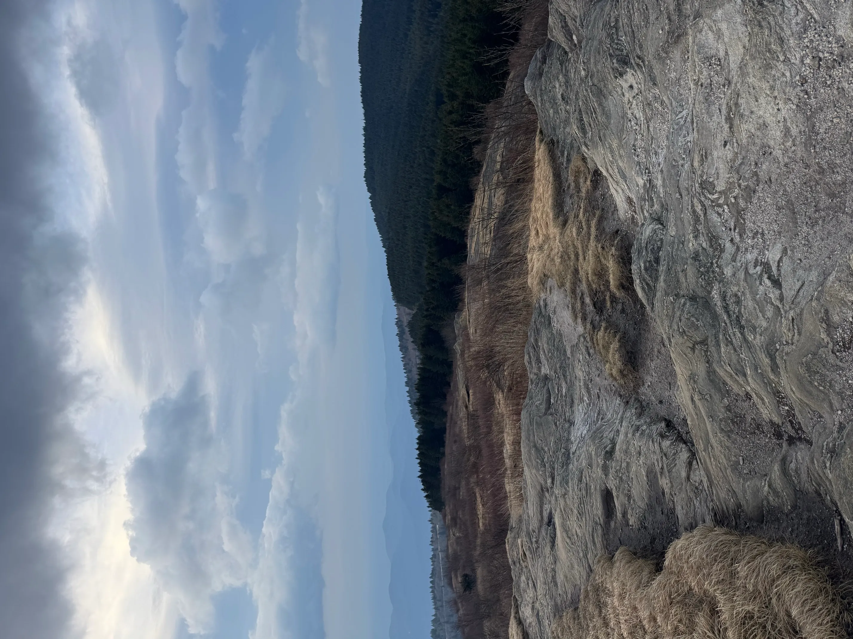Black Balsam Knob via Art Loeb Trail 