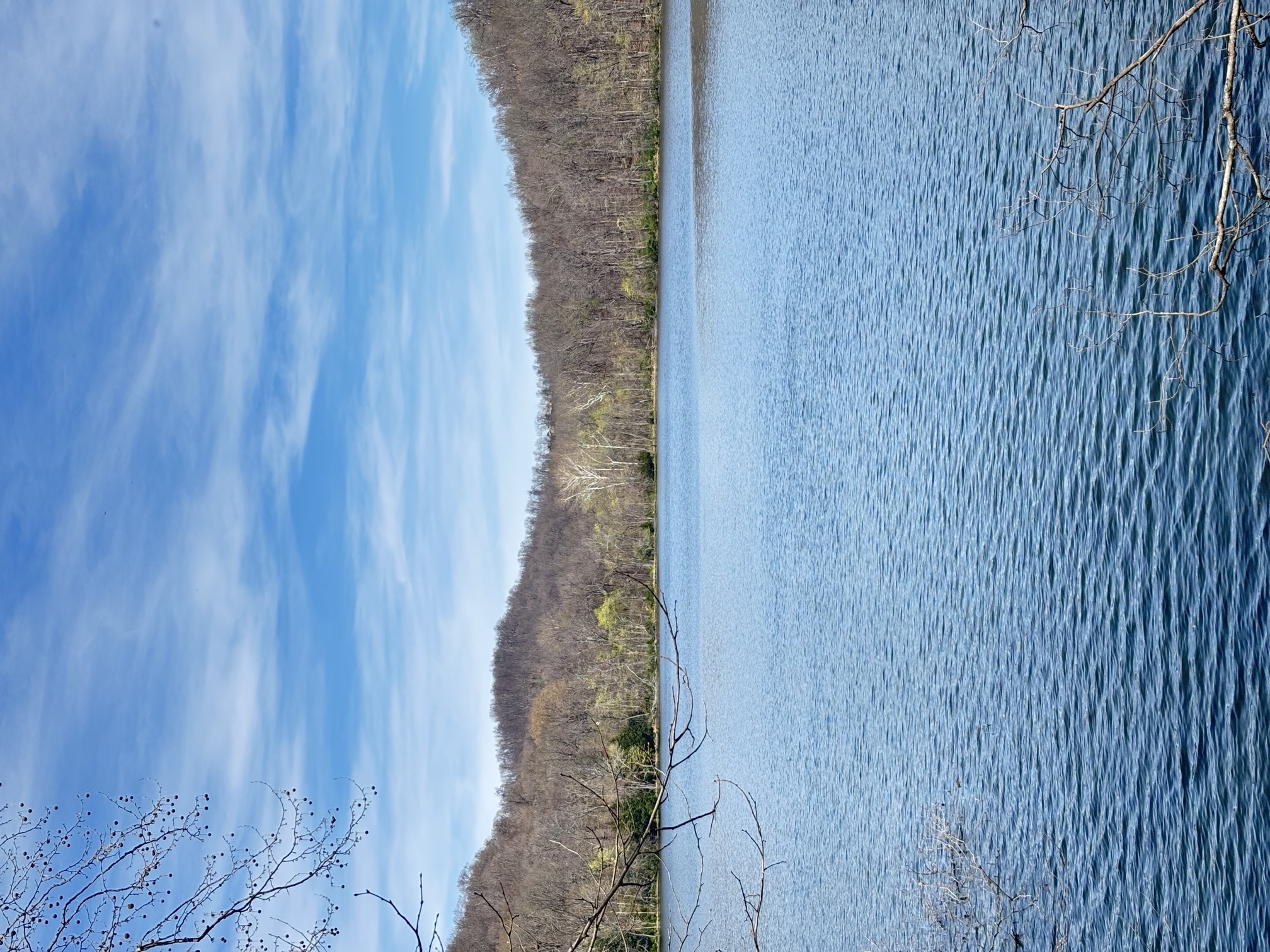 Hike around Radnor Lake