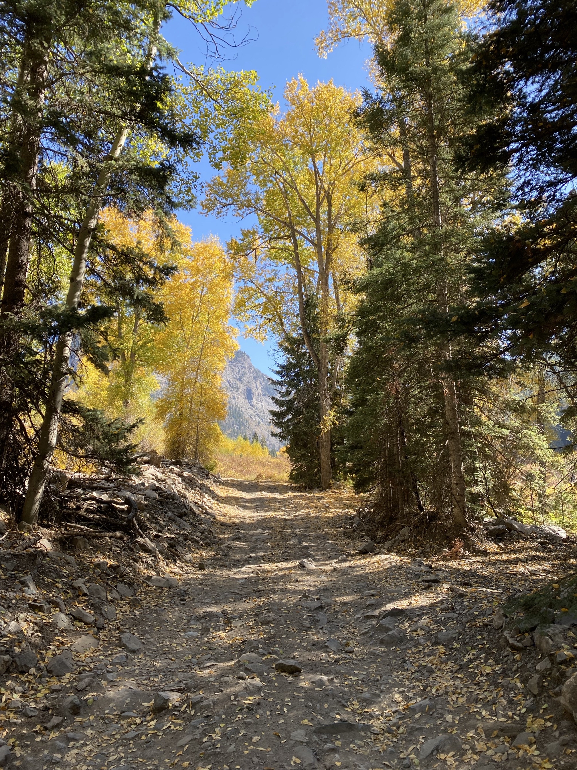 Lizard Lake and Crystal Mill