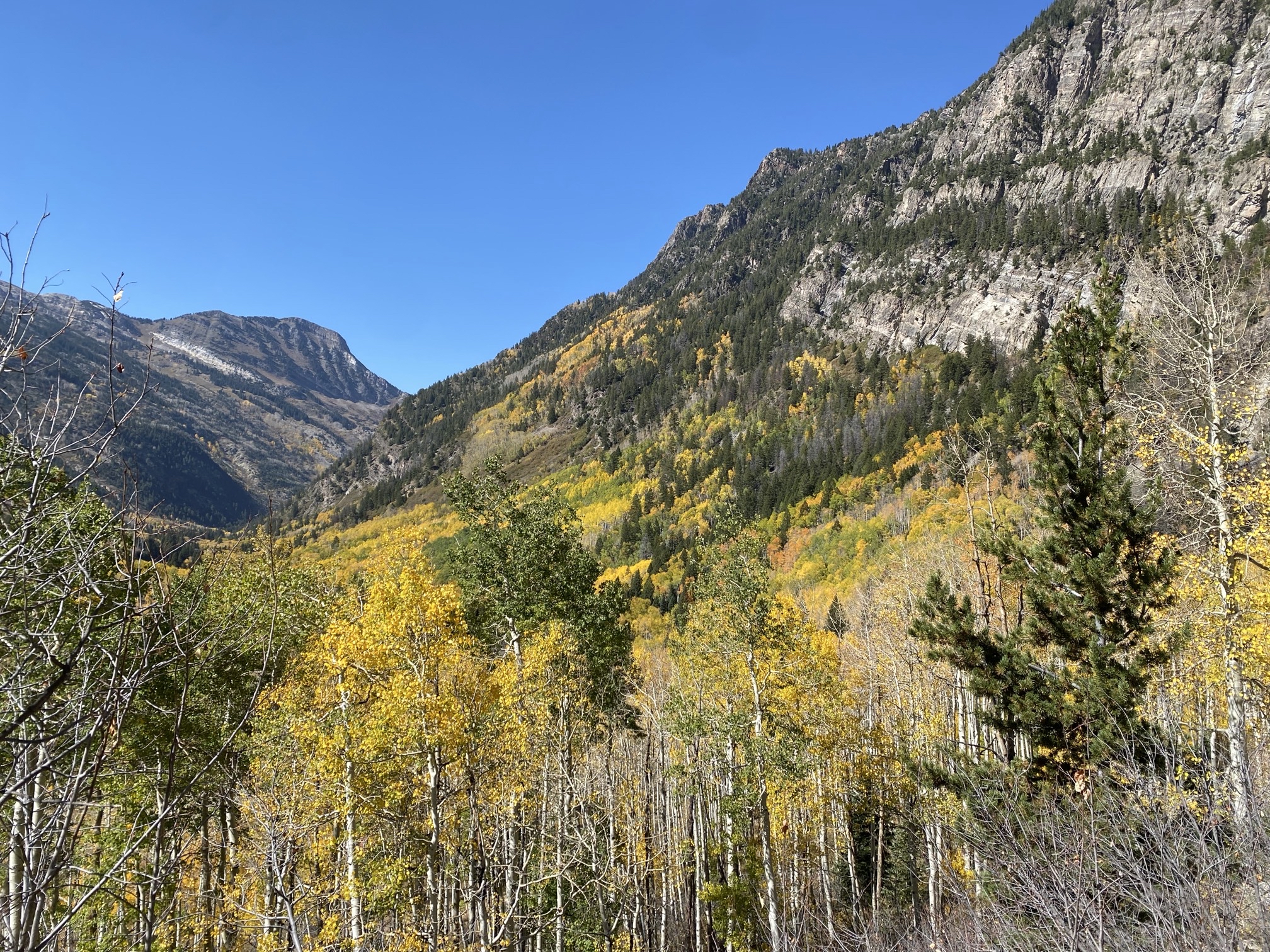 Lizard Lake and Crystal Mill