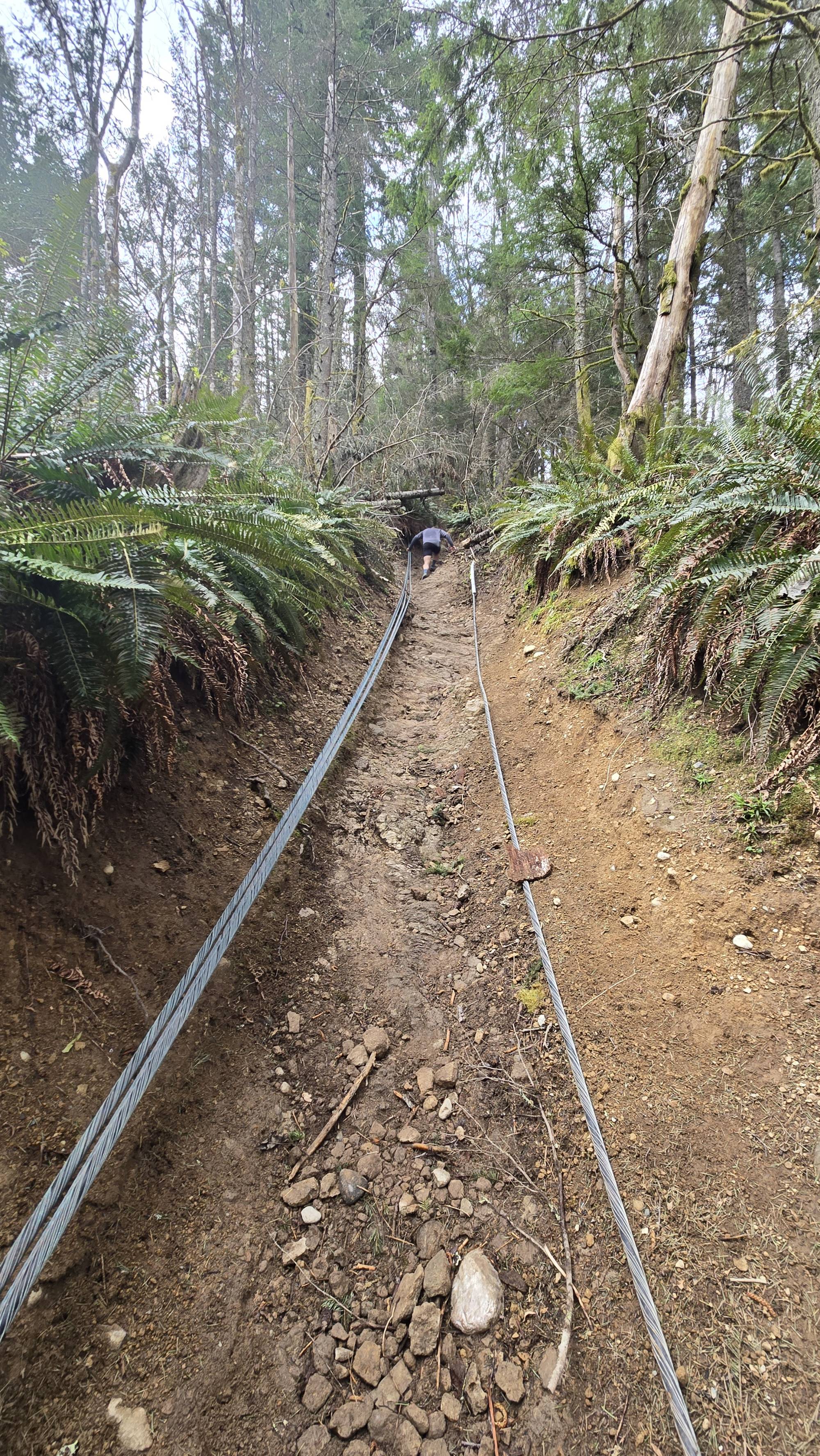 West Tiger #3 (Cable Line Trail)