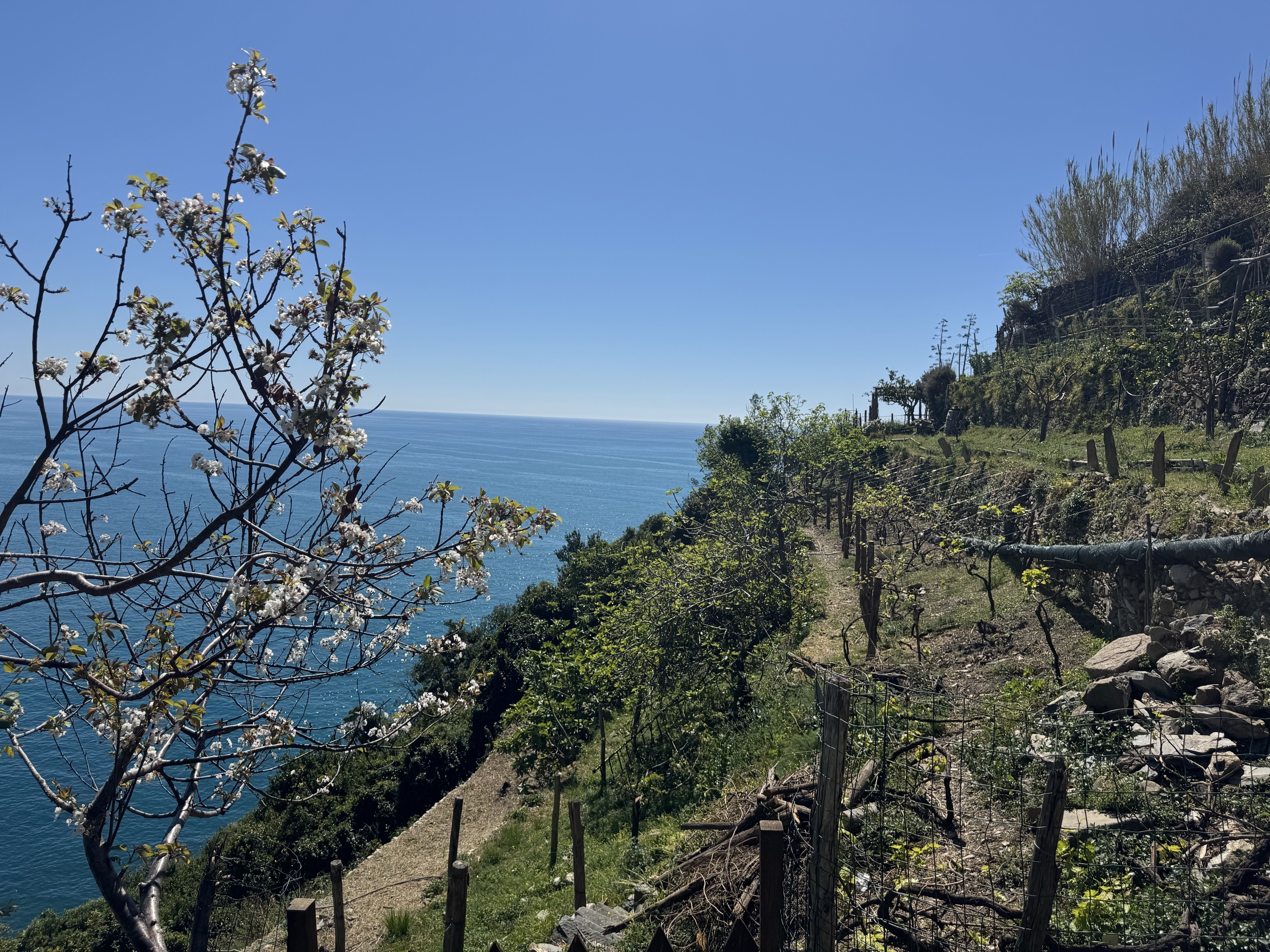 Hiking in Cinque Terre National Park