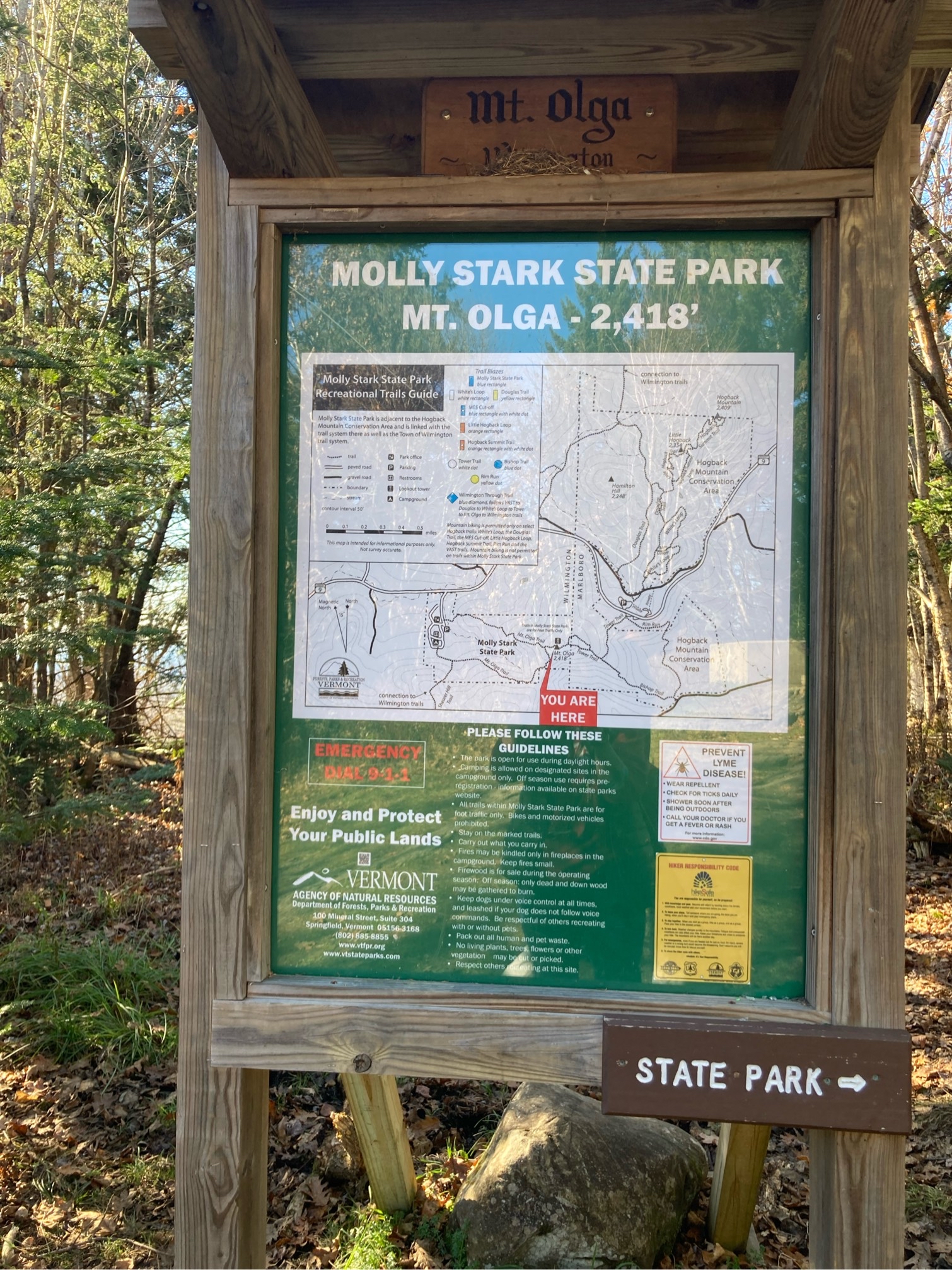 Mount Olga Fire Tower Loop