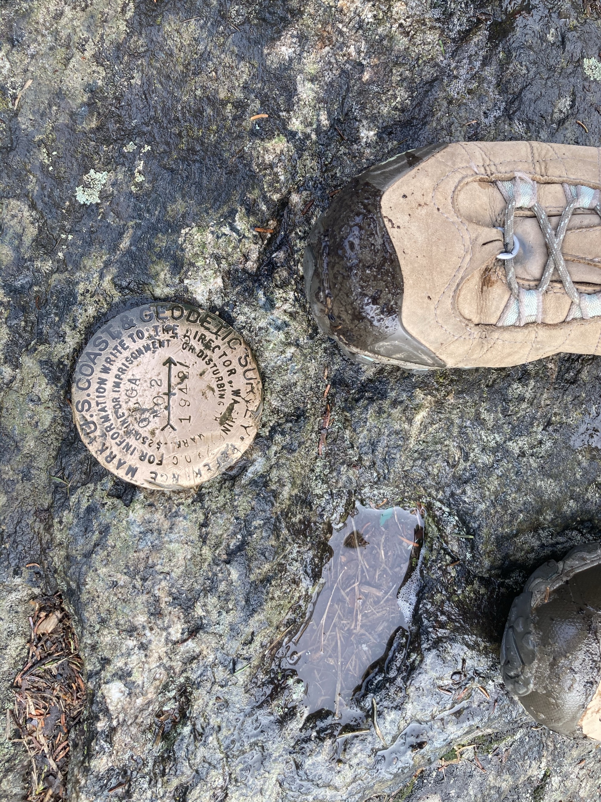 Mount Olga Fire Tower Loop