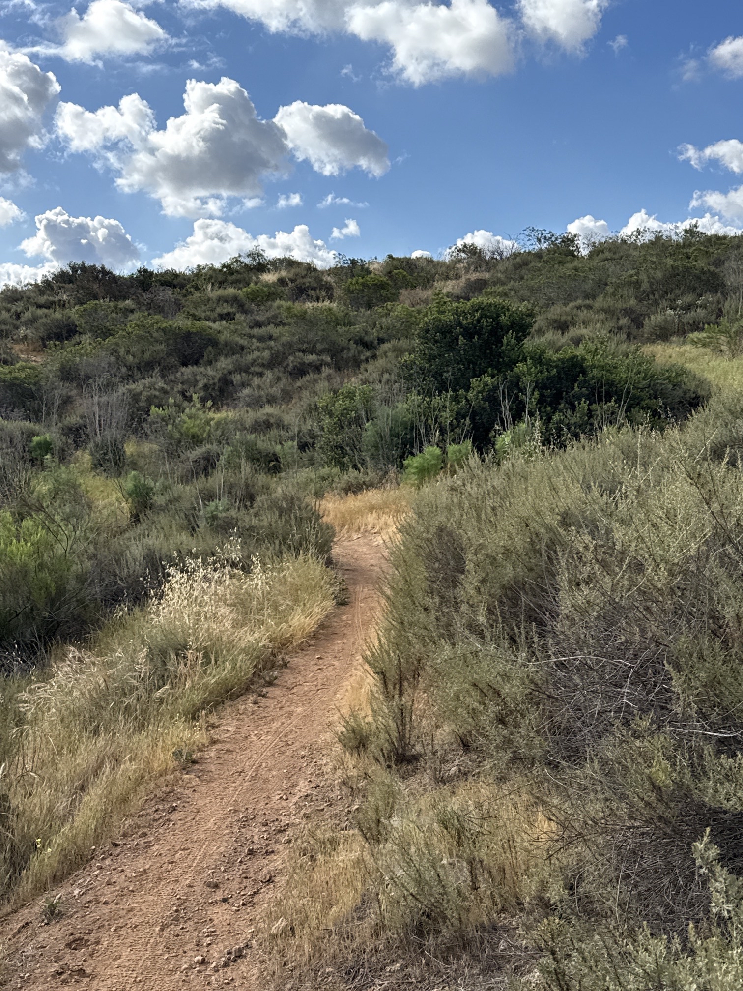 Sweetwater Park Trail