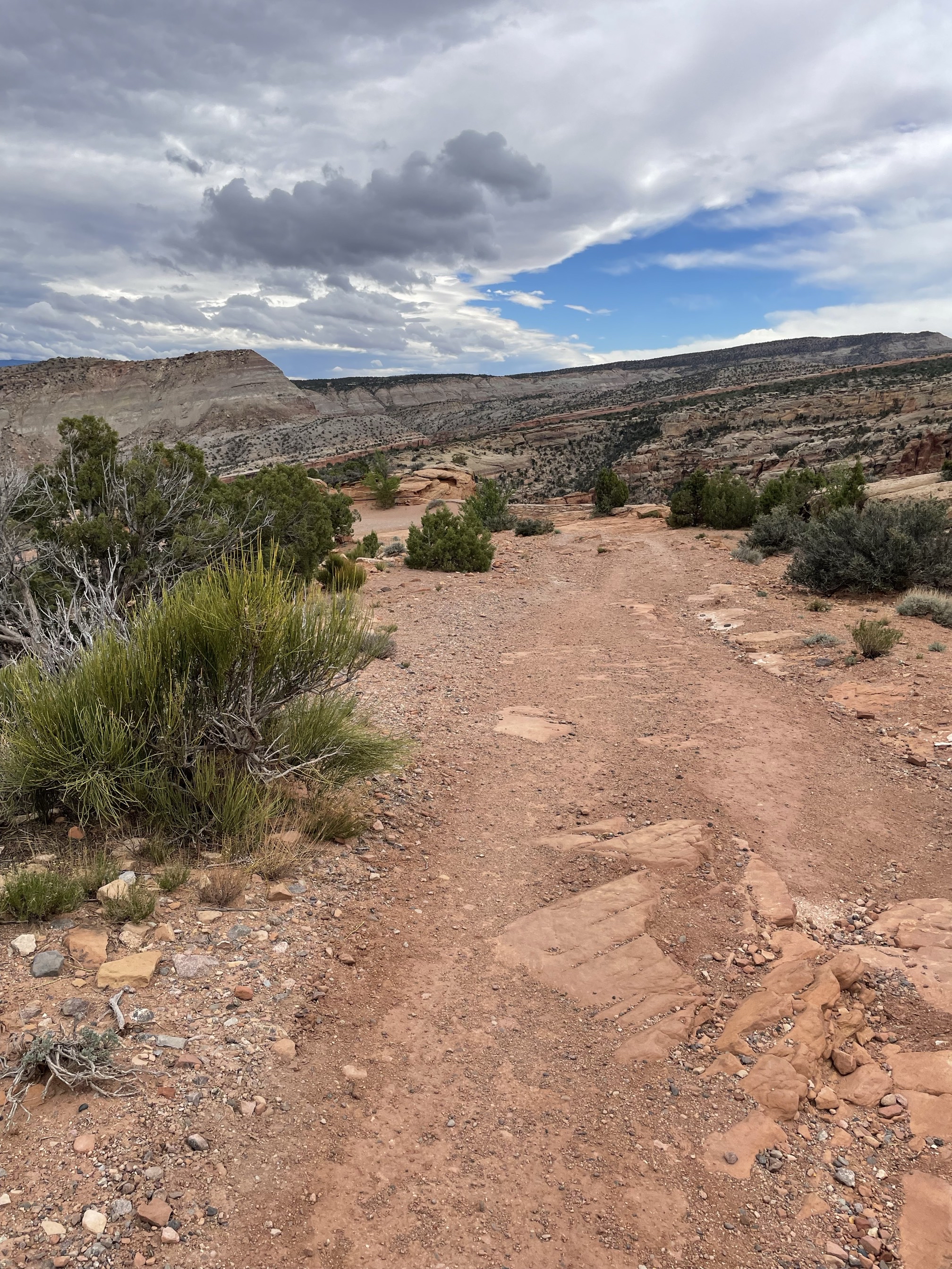Serpents Trail