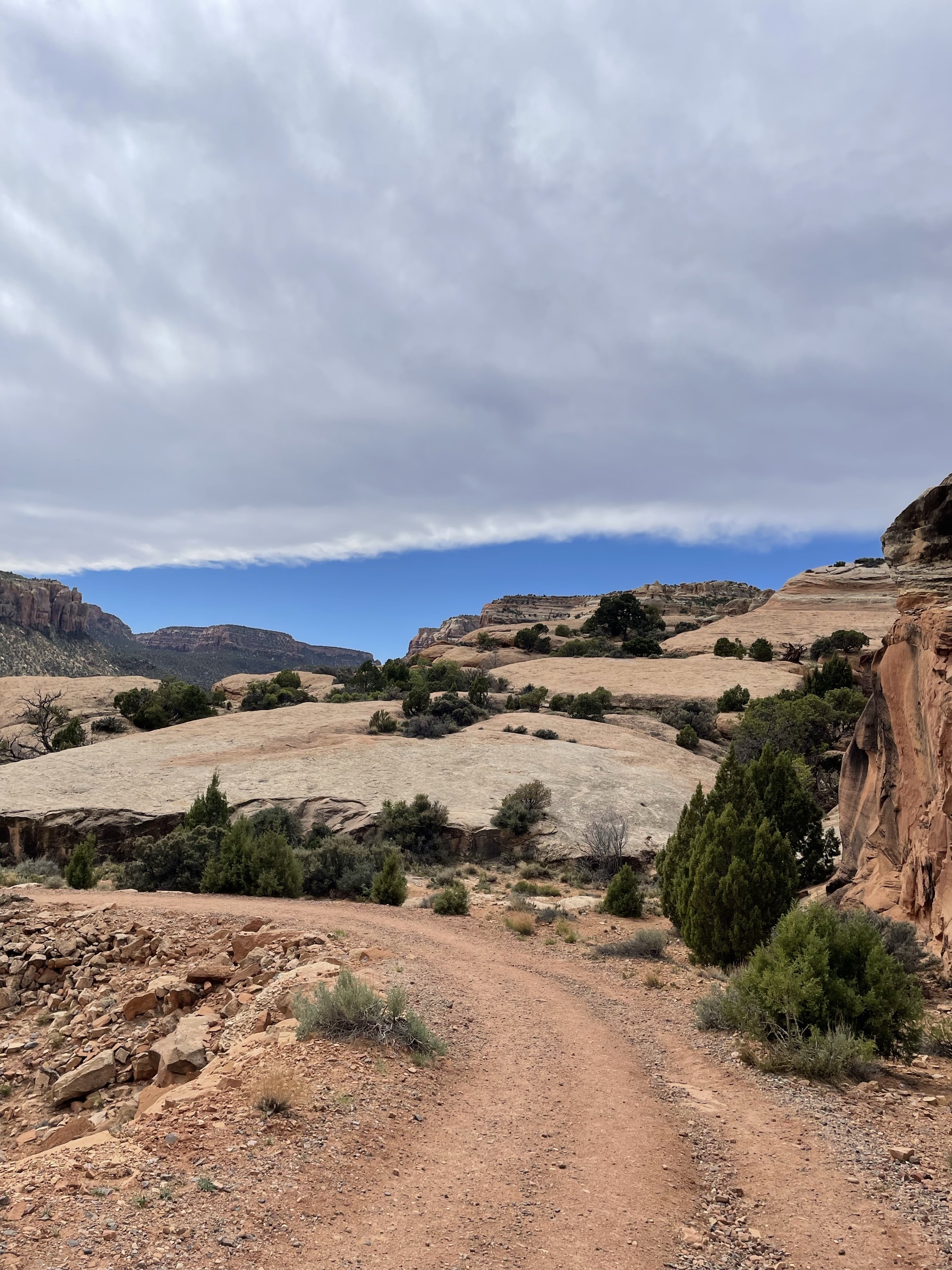 Serpents Trail