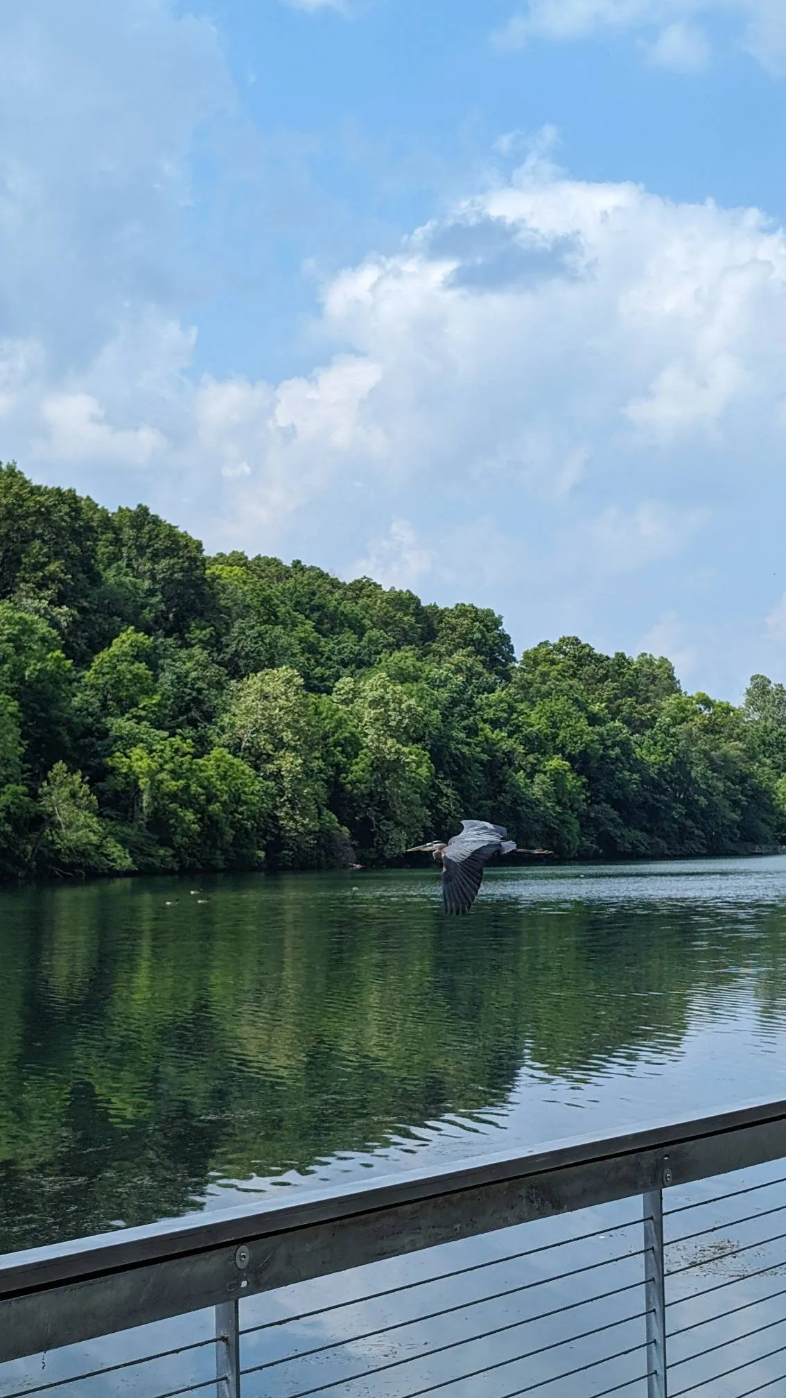 Lake Atalanta Loop