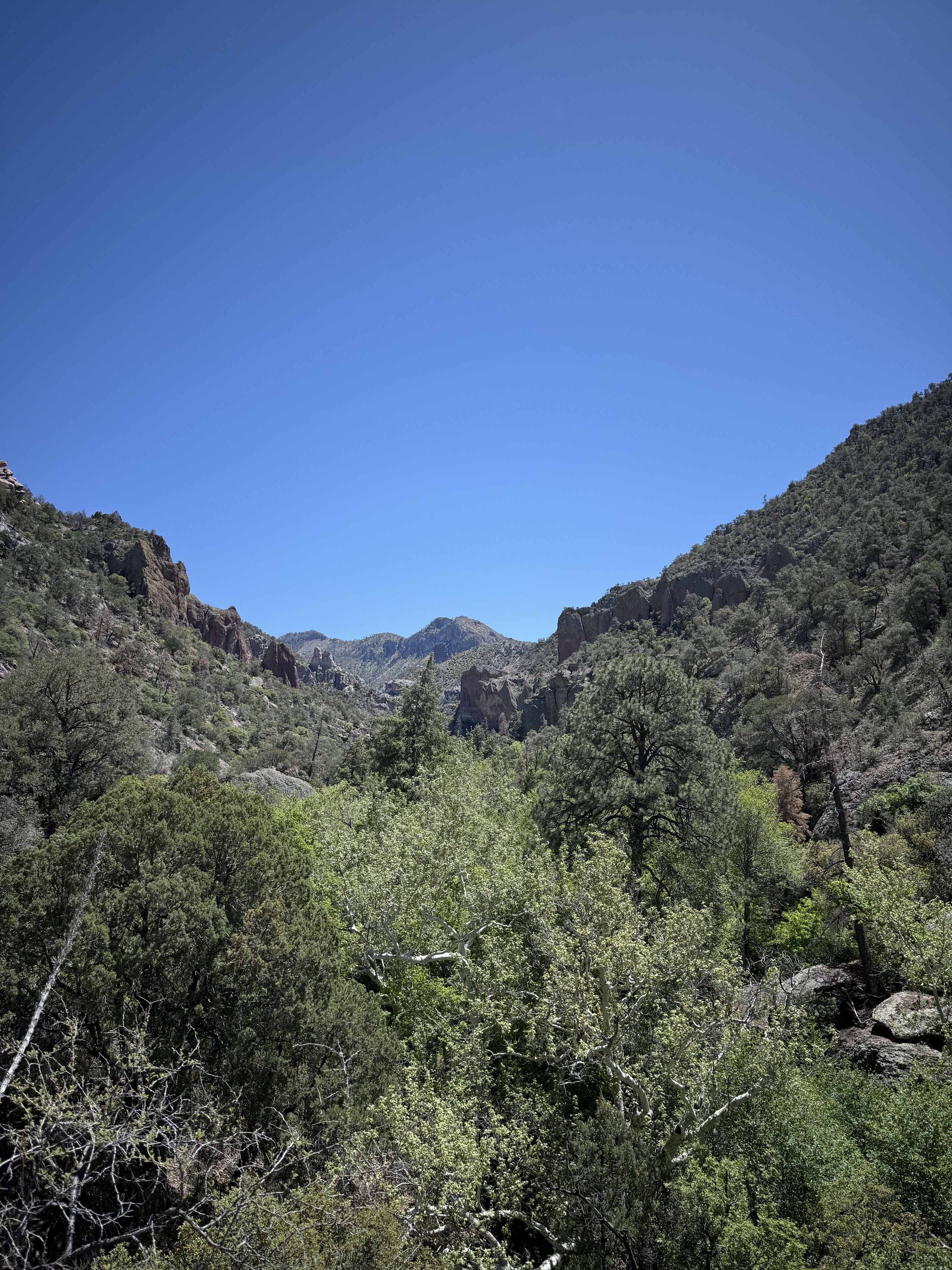 Hike the Catwalk Trail