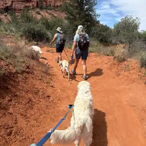 Broken Arrow Trail, Broken Arrow Spur, and Morgan Road Loop