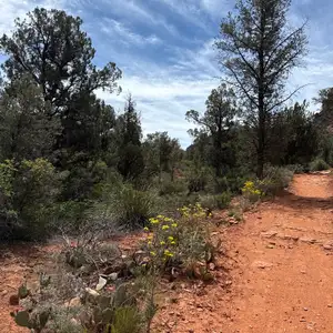 Broken Arrow Trail, Broken Arrow Spur, and Morgan Road Loop
