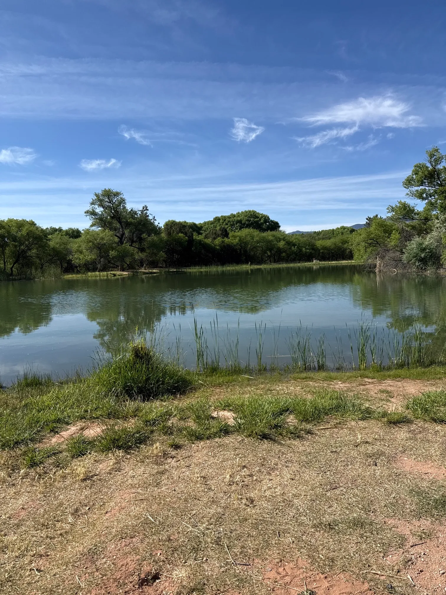 Dead Horse Ranch Lagoon Loop