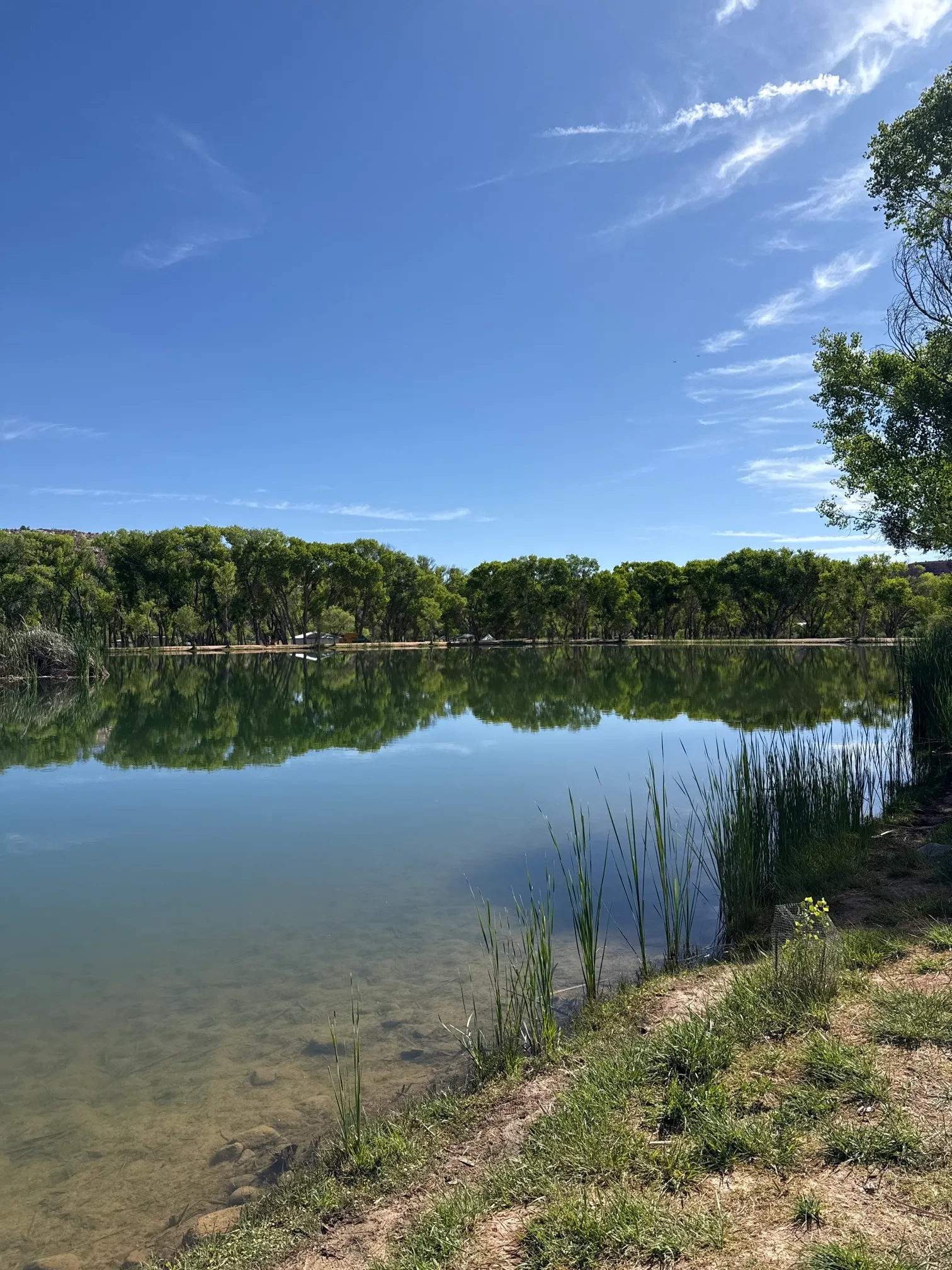 Dead Horse Ranch Lagoon Loop