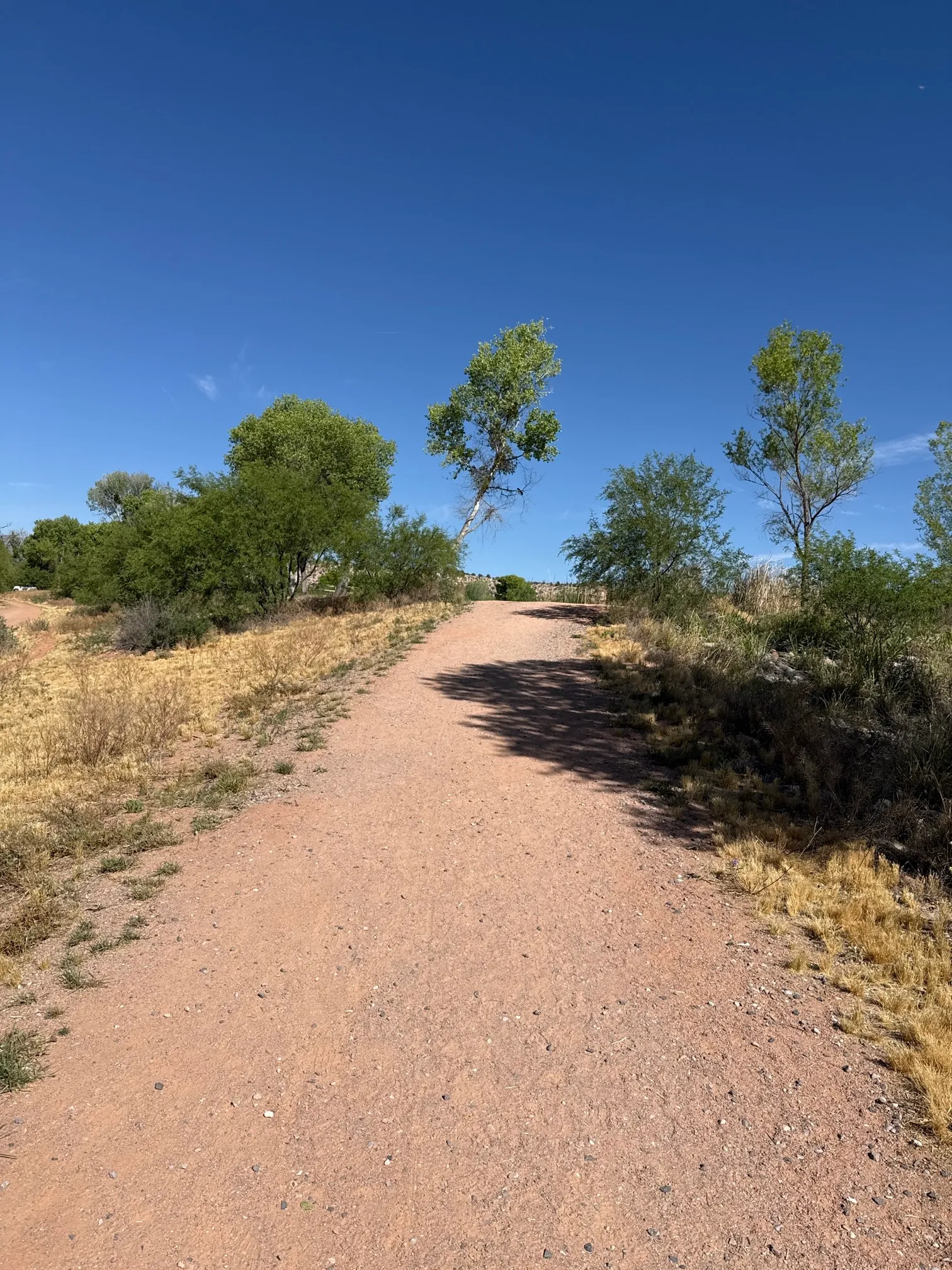Dead Horse Ranch Lagoon Loop