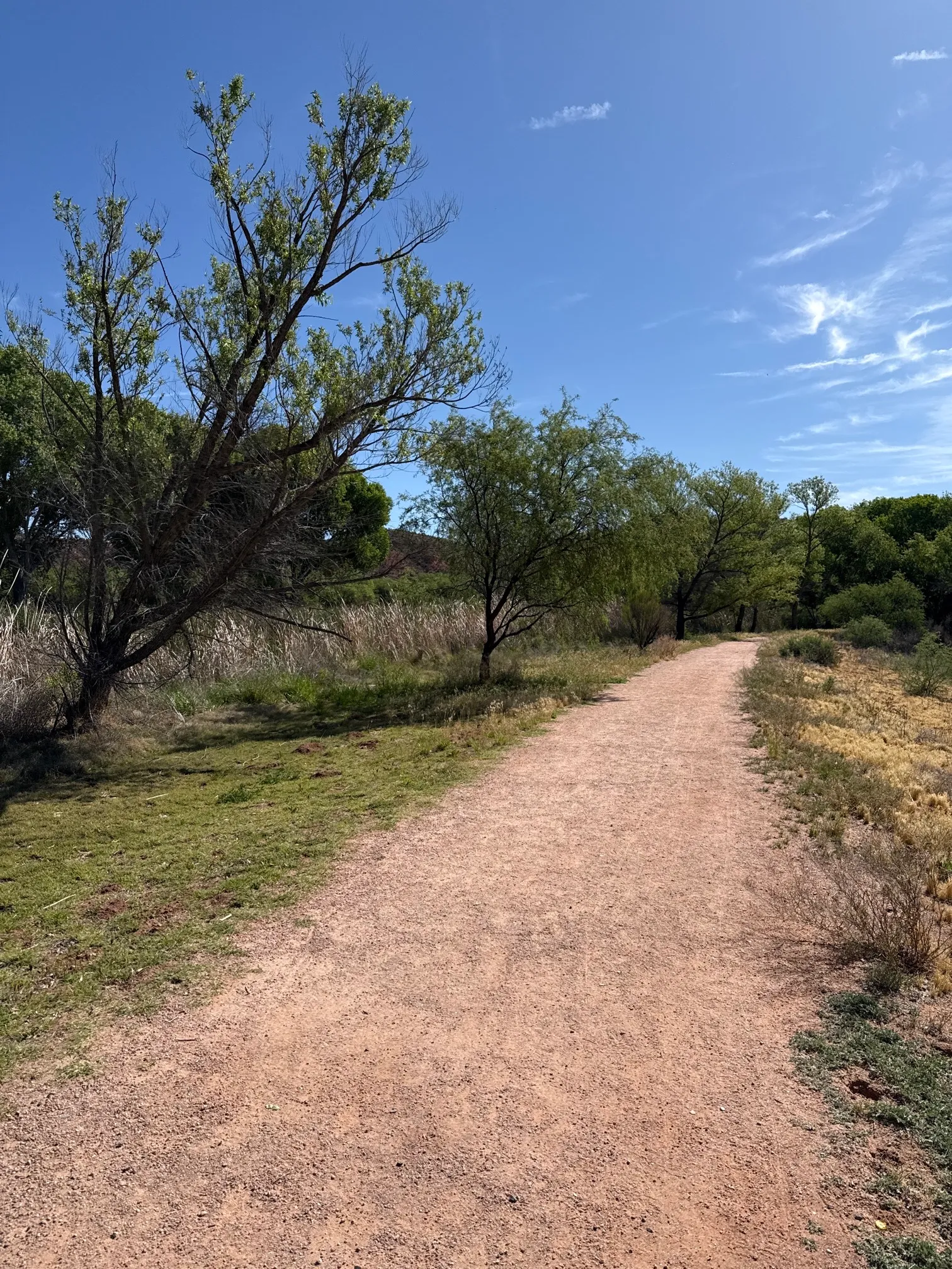 Dead Horse Ranch Lagoon Loop