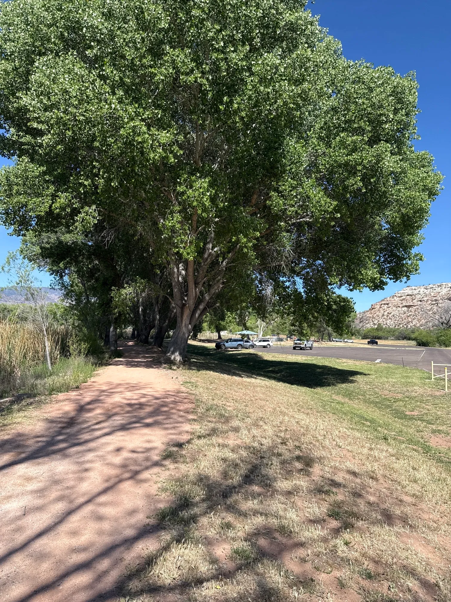 Dead Horse Ranch Lagoon Loop