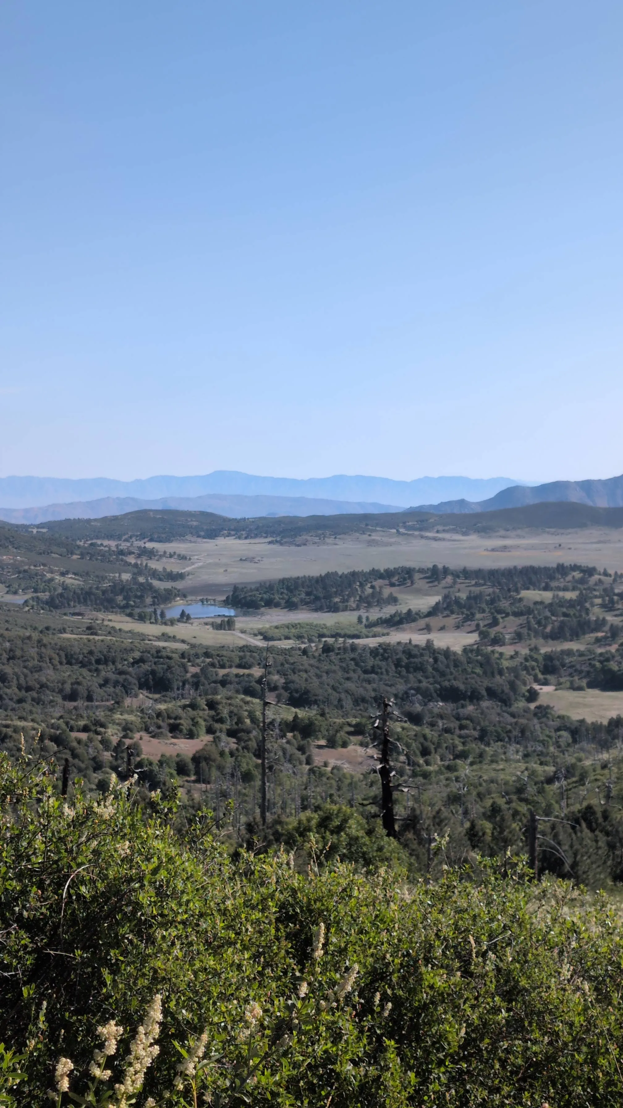 Cuyamaca Peak