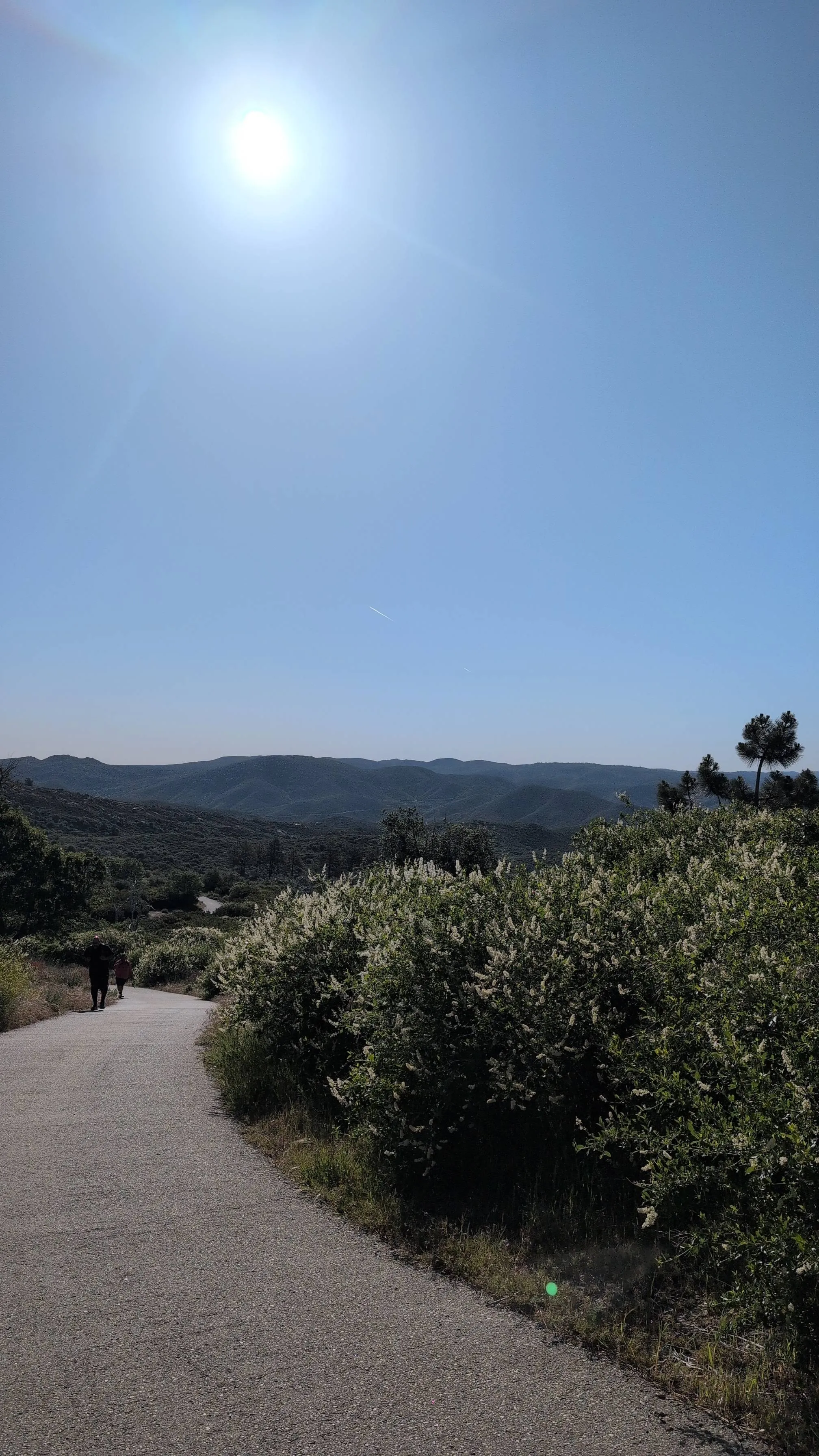 Cuyamaca Peak