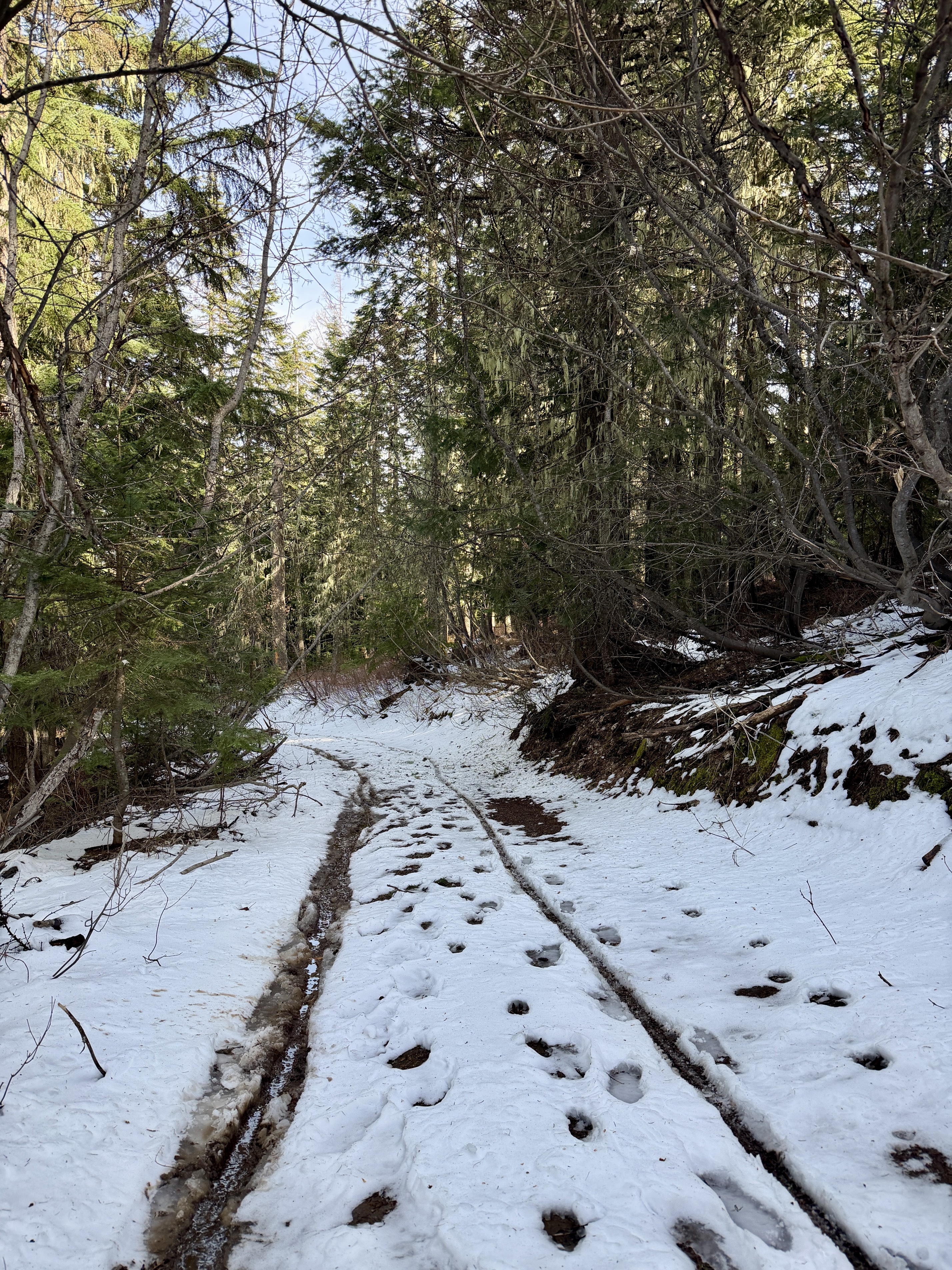 Trail 257