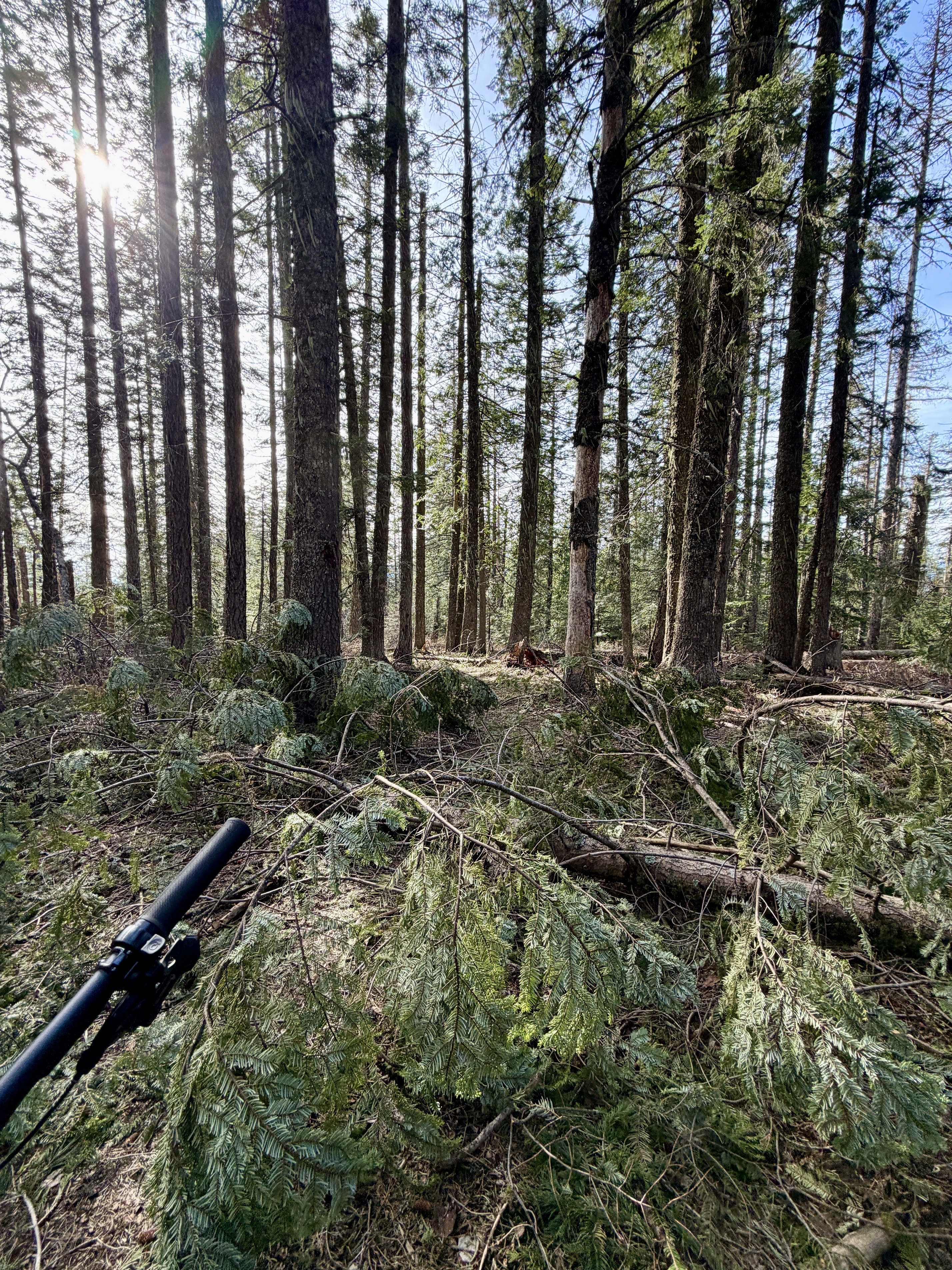 Trail 257