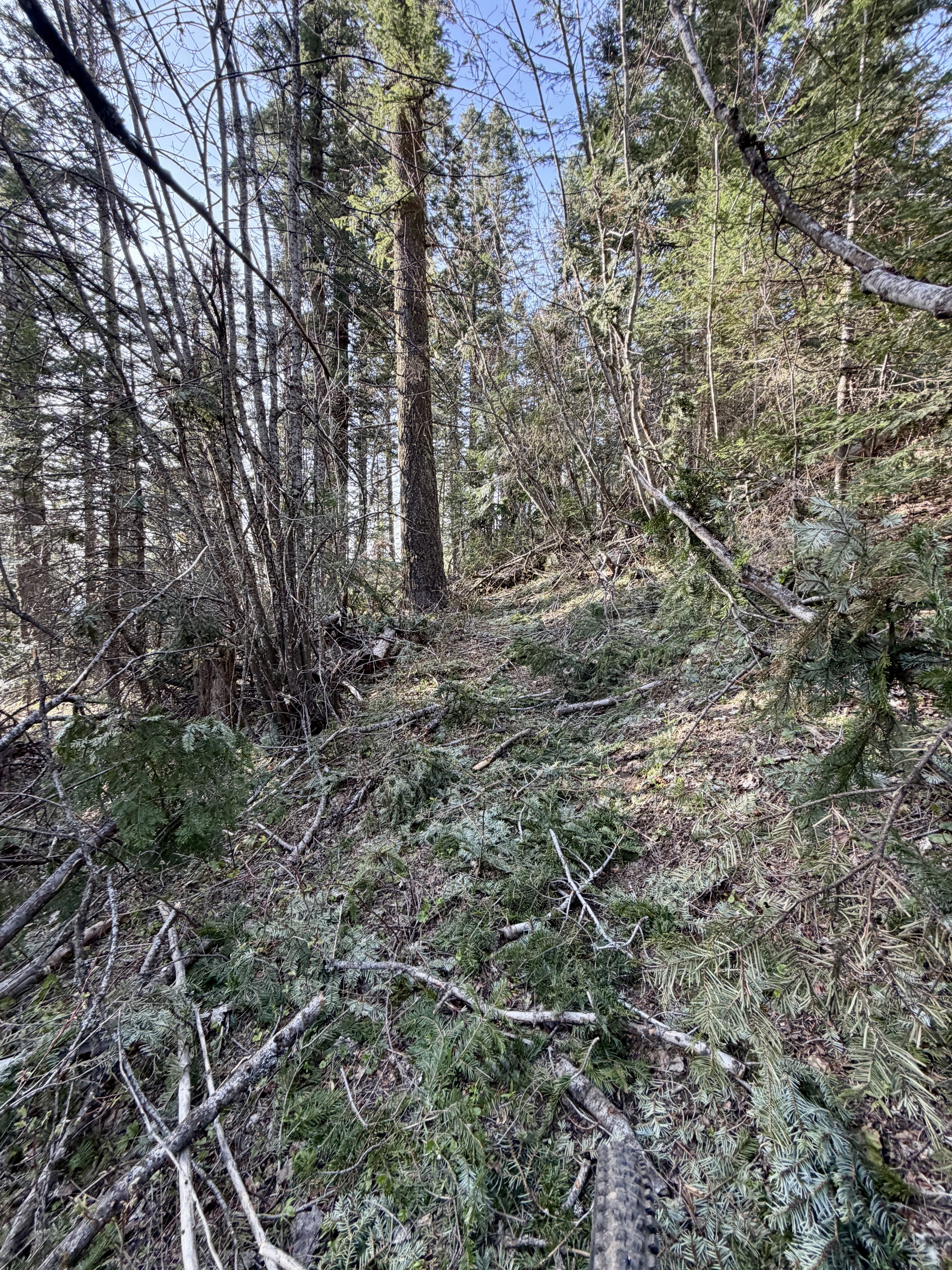 Trail 257
