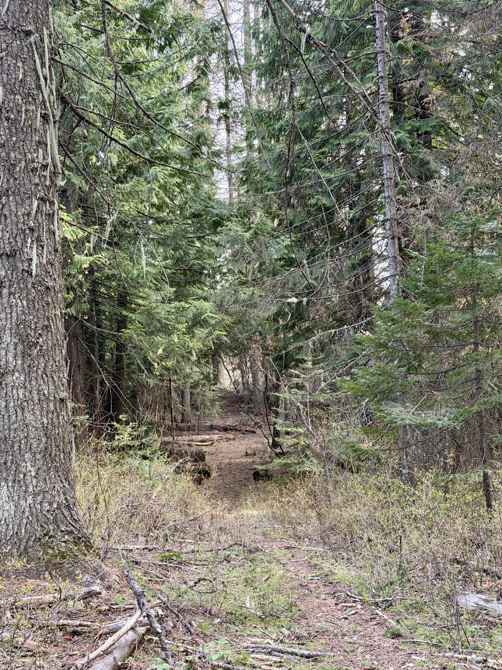 Trail 257