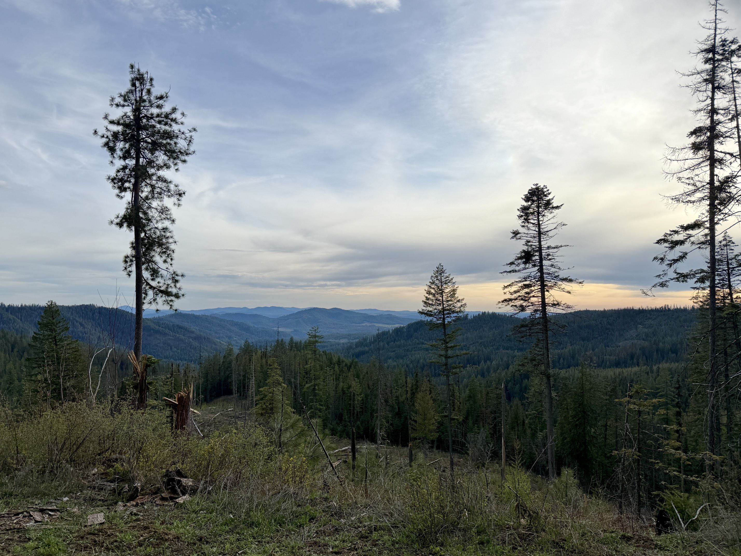Trail 257