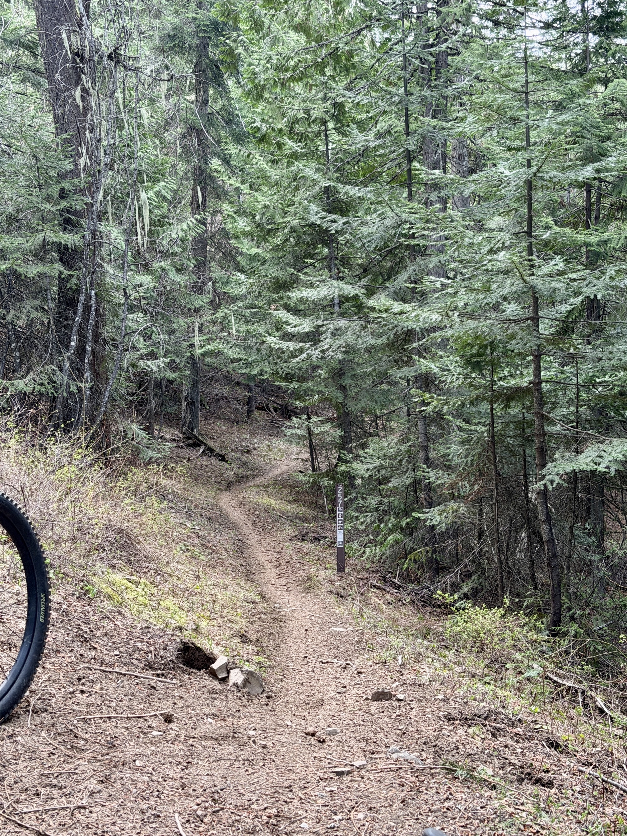Trail 257