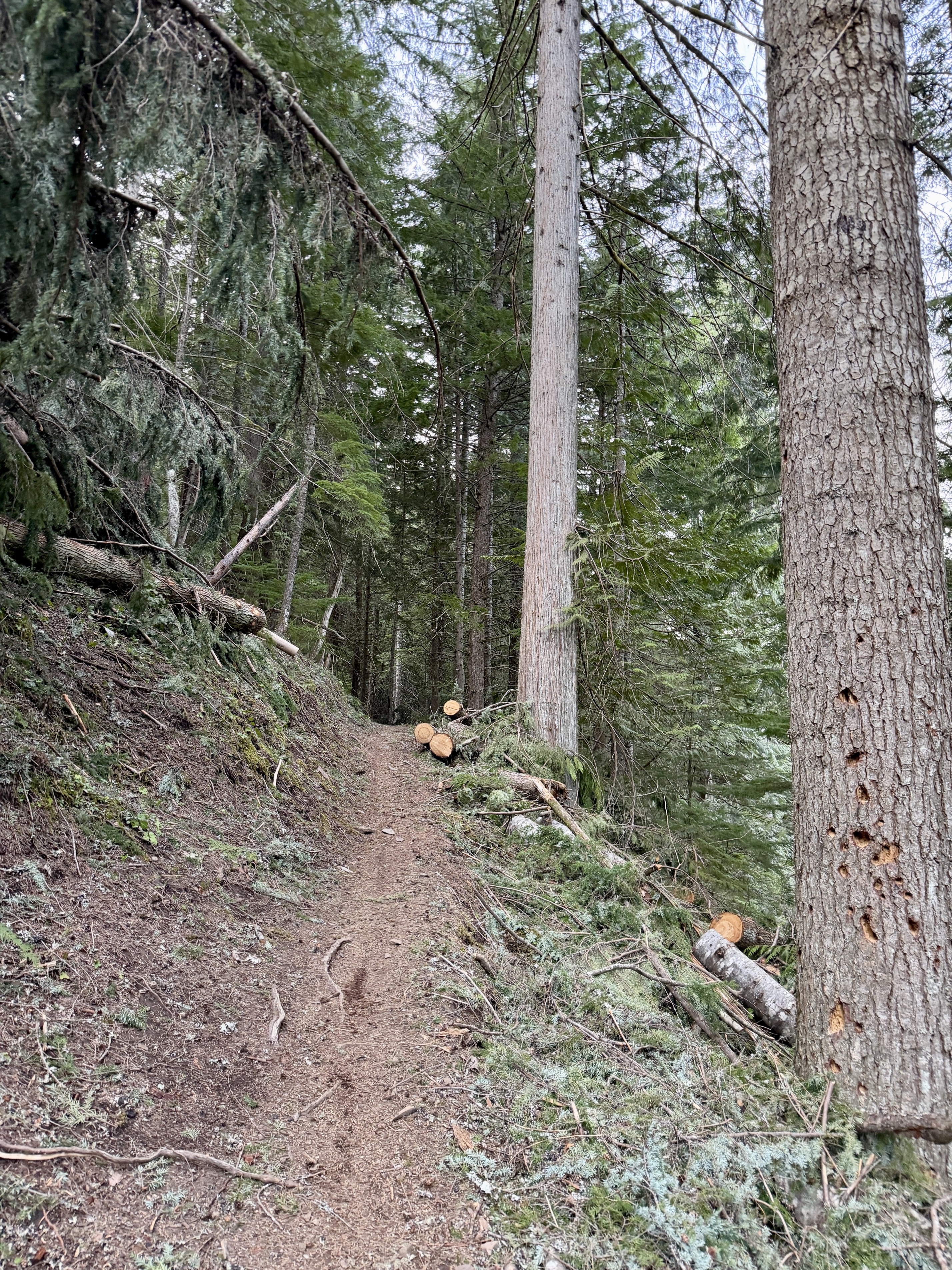 Trail 257