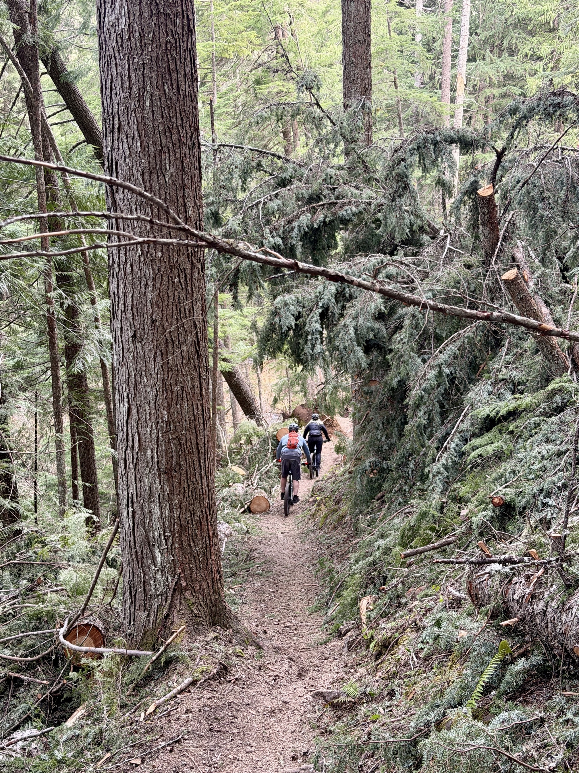 Trail 257