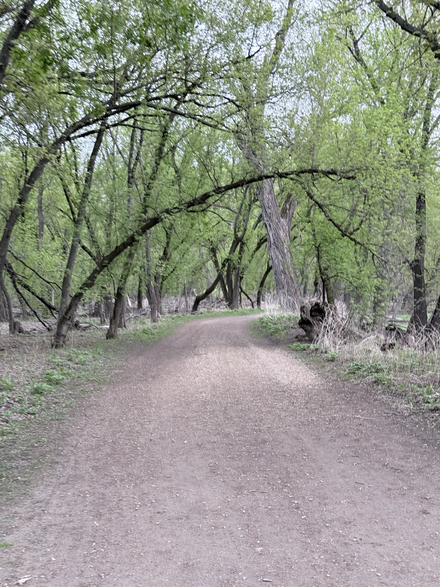 Pike Island Loop