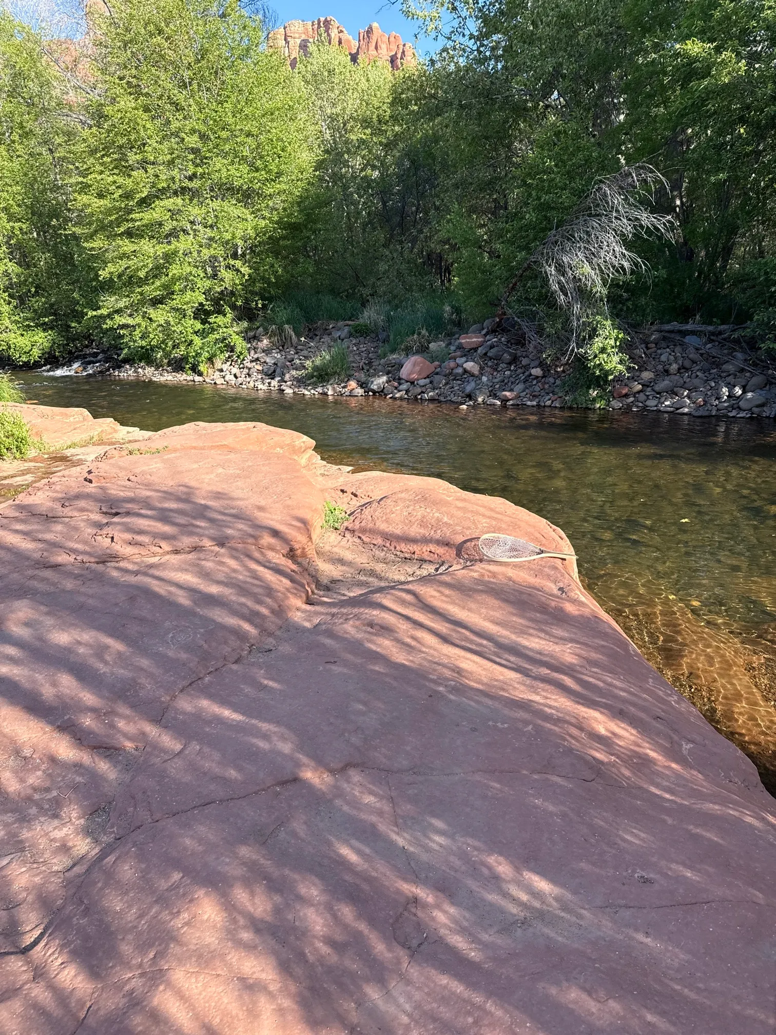 Fly Fish Oak Creek