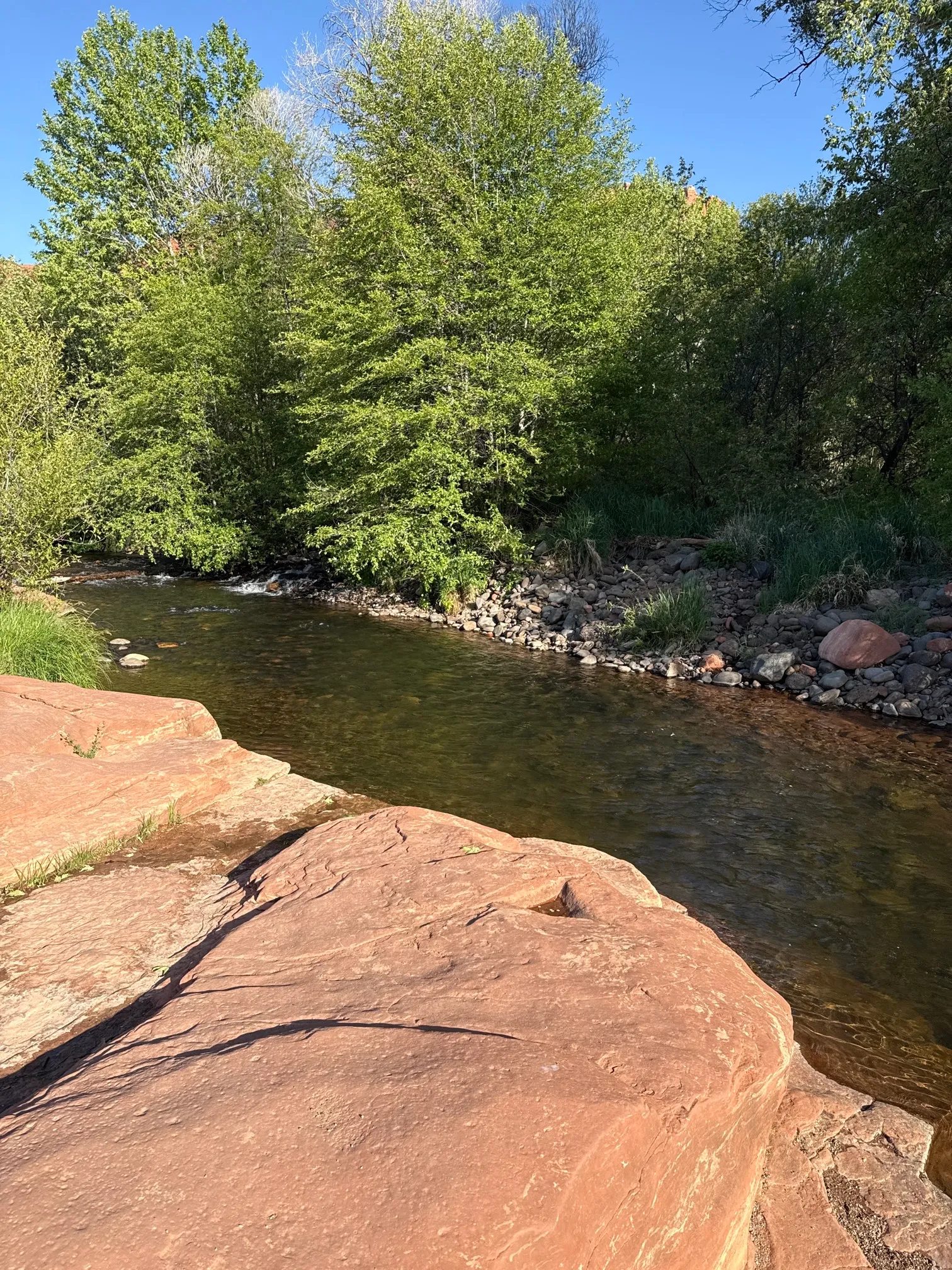 Fly Fish Oak Creek