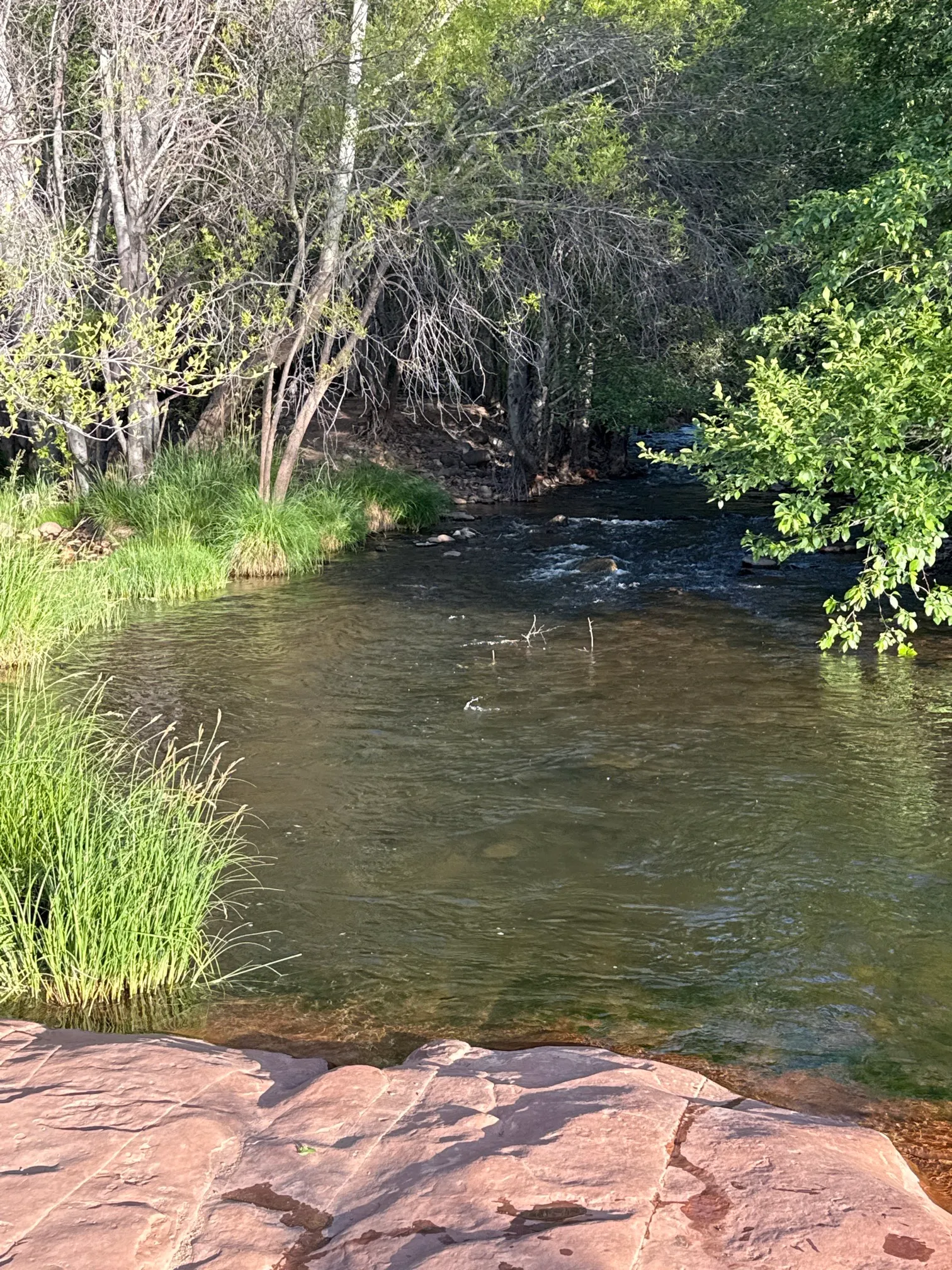 Fly Fish Oak Creek