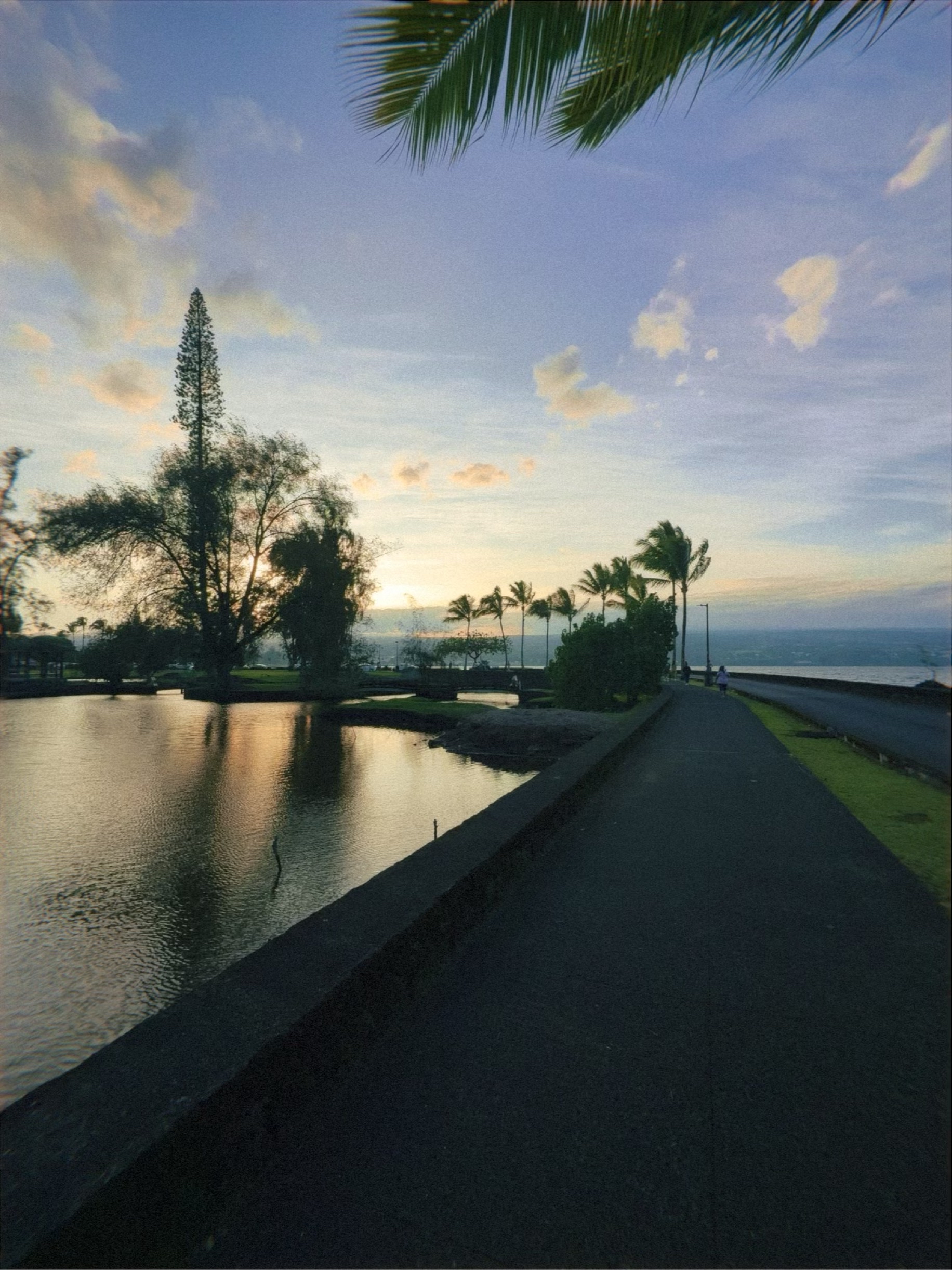 Run at Liliʻuokalani Park and Gardens