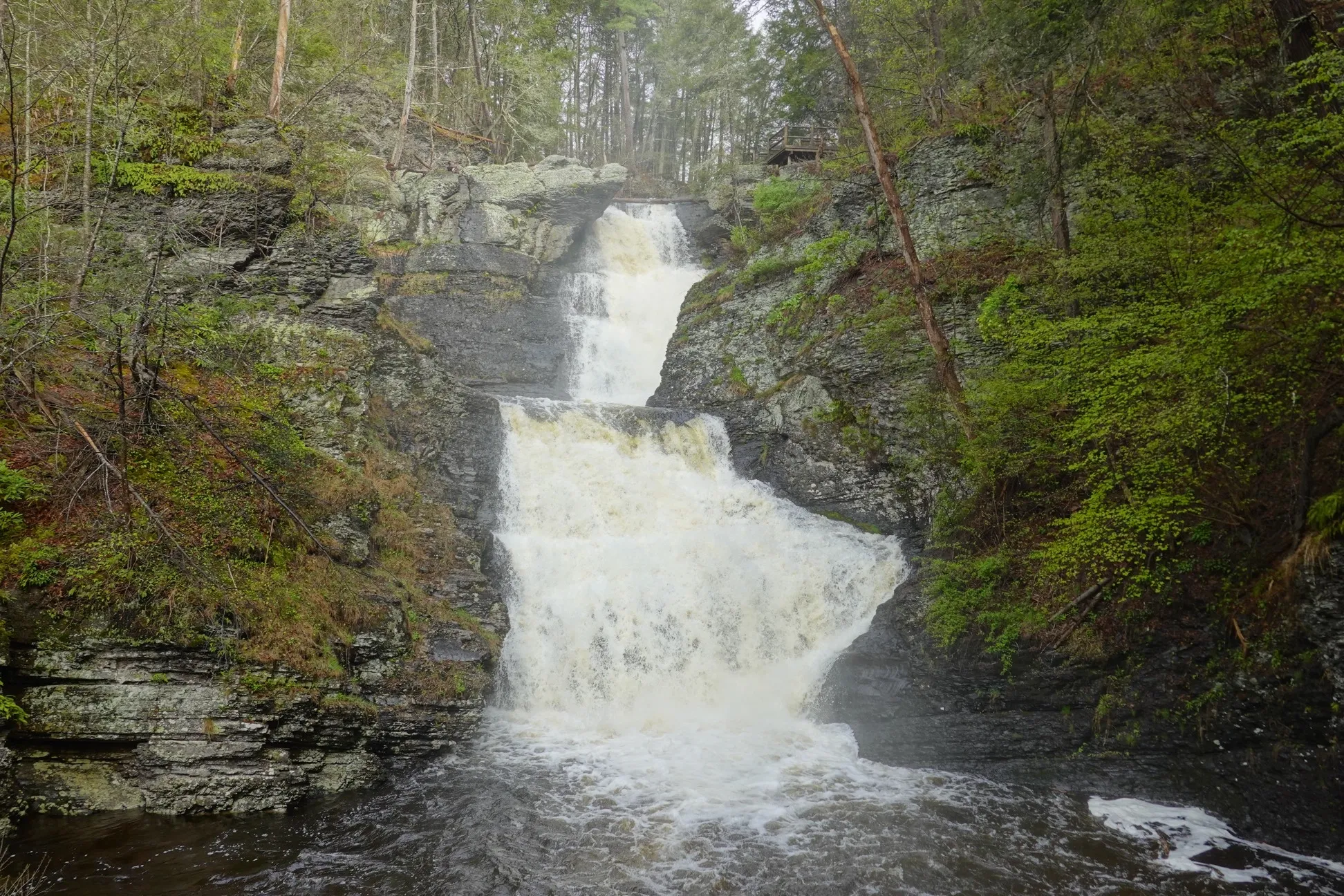 Raymondskill Falls